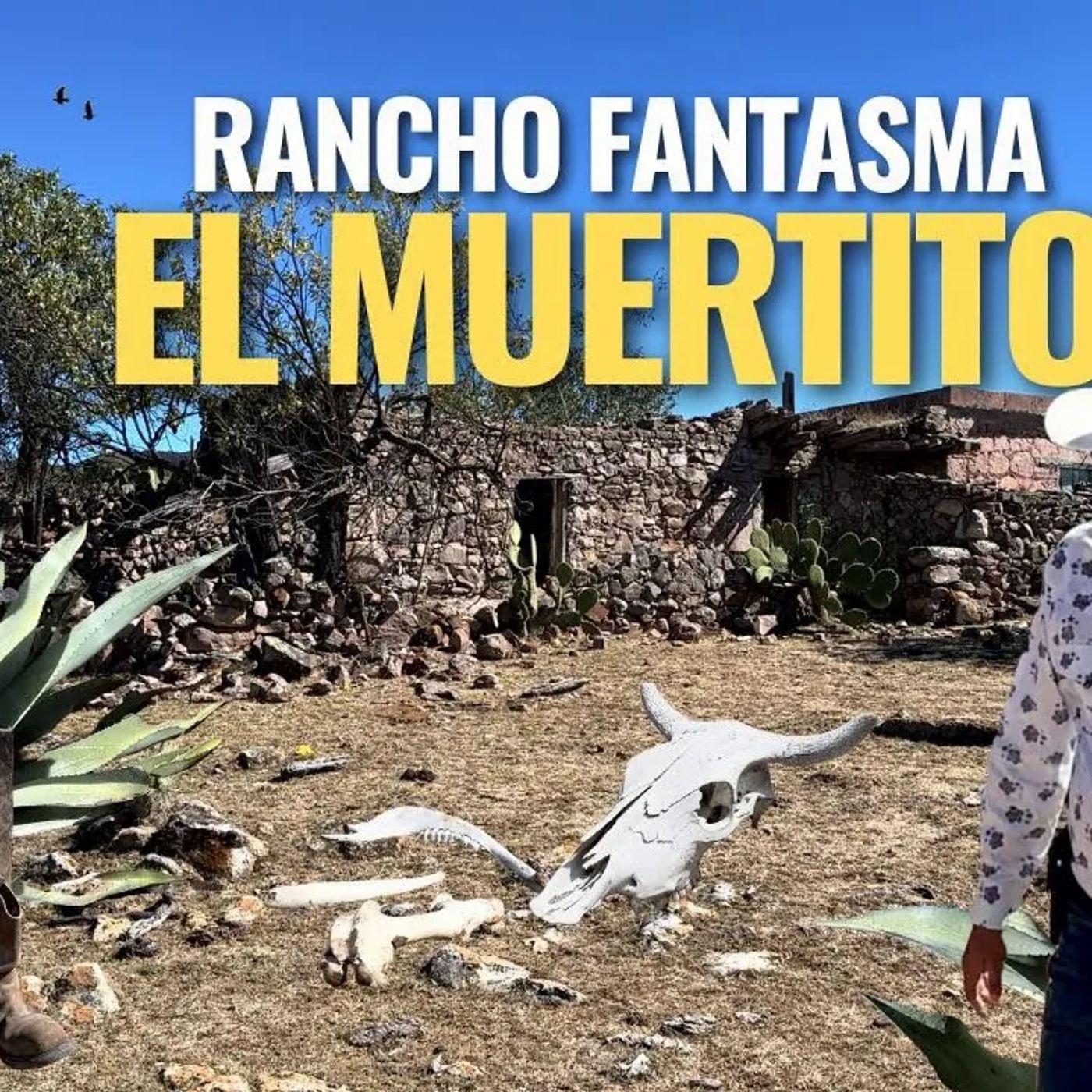 _UN RANCHO DE AGUAS EN MEDIO DE LA SIERRA_