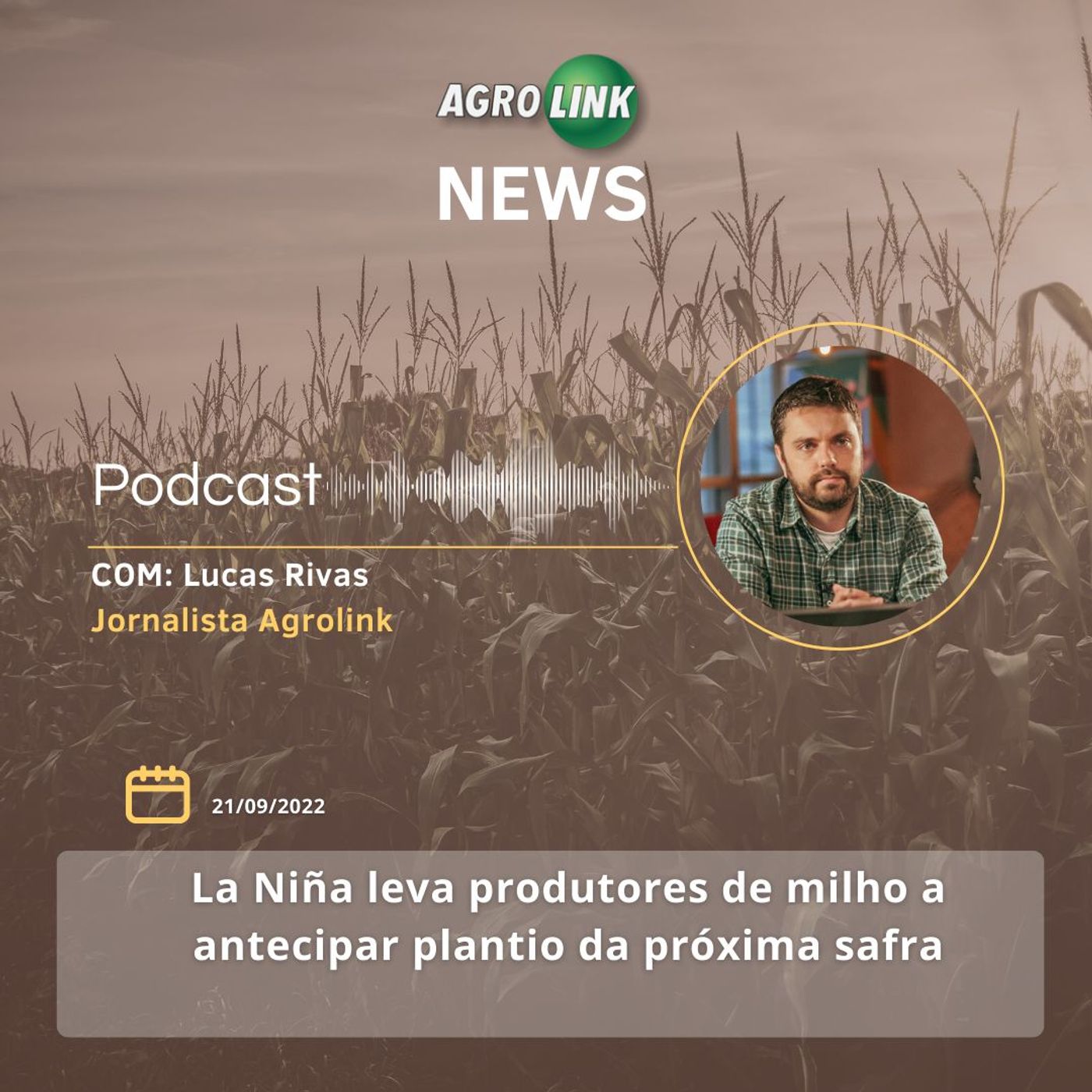 Conab estima produção de café em 50,38 milhões de sacas na safra 2022 episode artwork