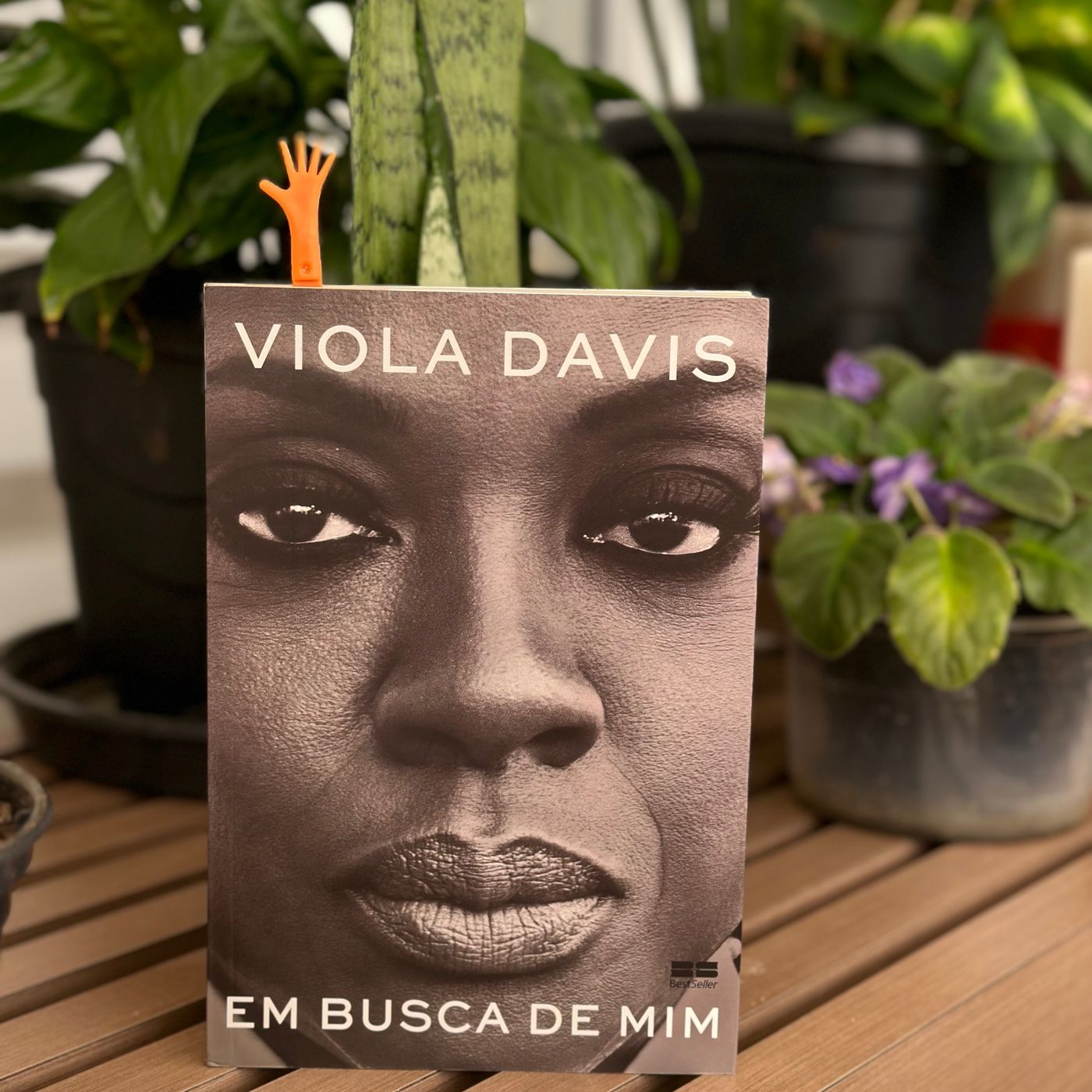 2ª leitura do livro "Em busca de Mim" da Viola Davis