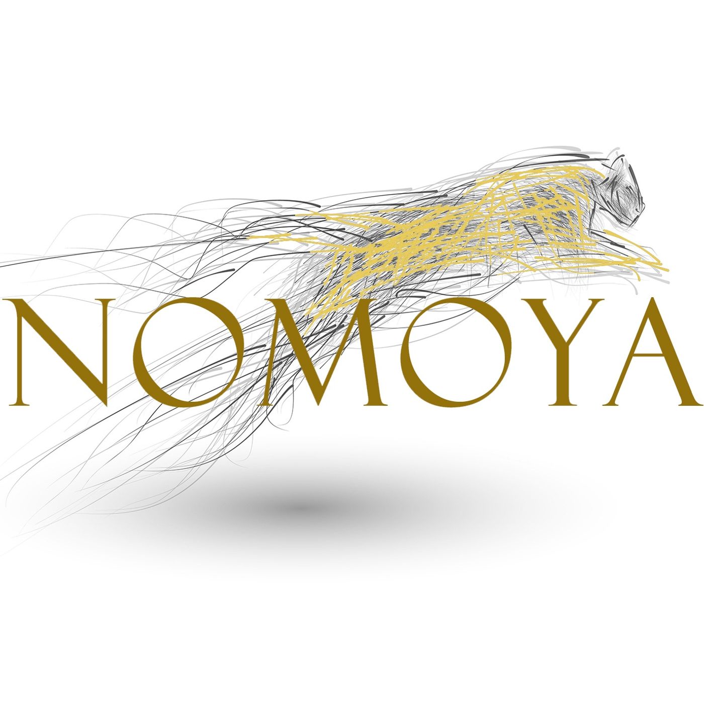 Nomoya - Michela Sfiligoi