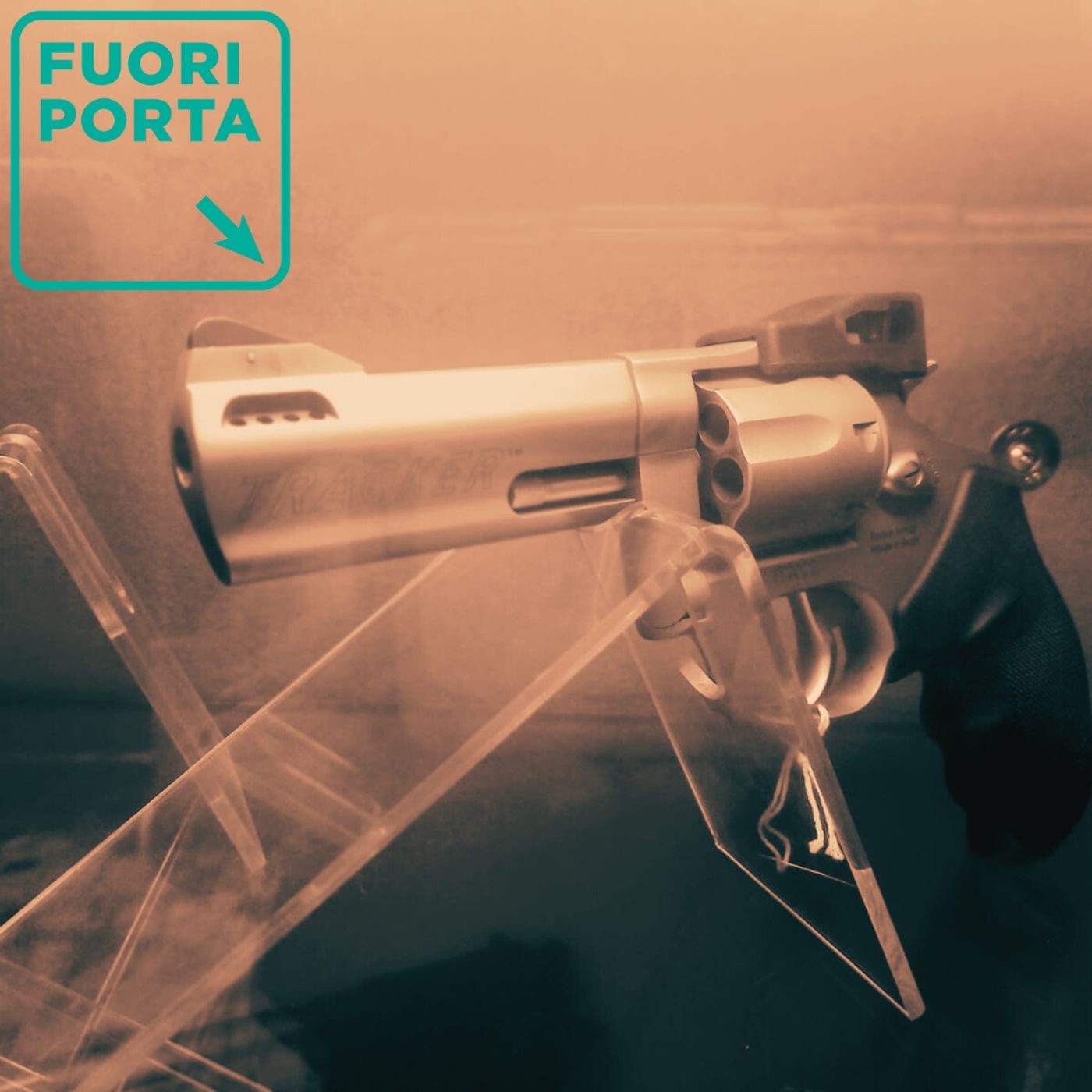 Revolver. Le armi da fuoco in Italia. Un viaggio tra violenza di genere, porto d’armi, sicurezza, dati e decisioni politiche. Seconda parte. episode artwork