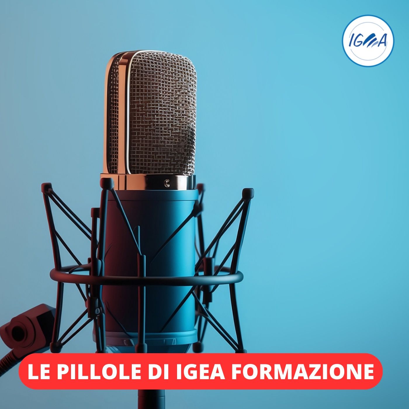 Le pillole di IGEA Formazione podcast artwork