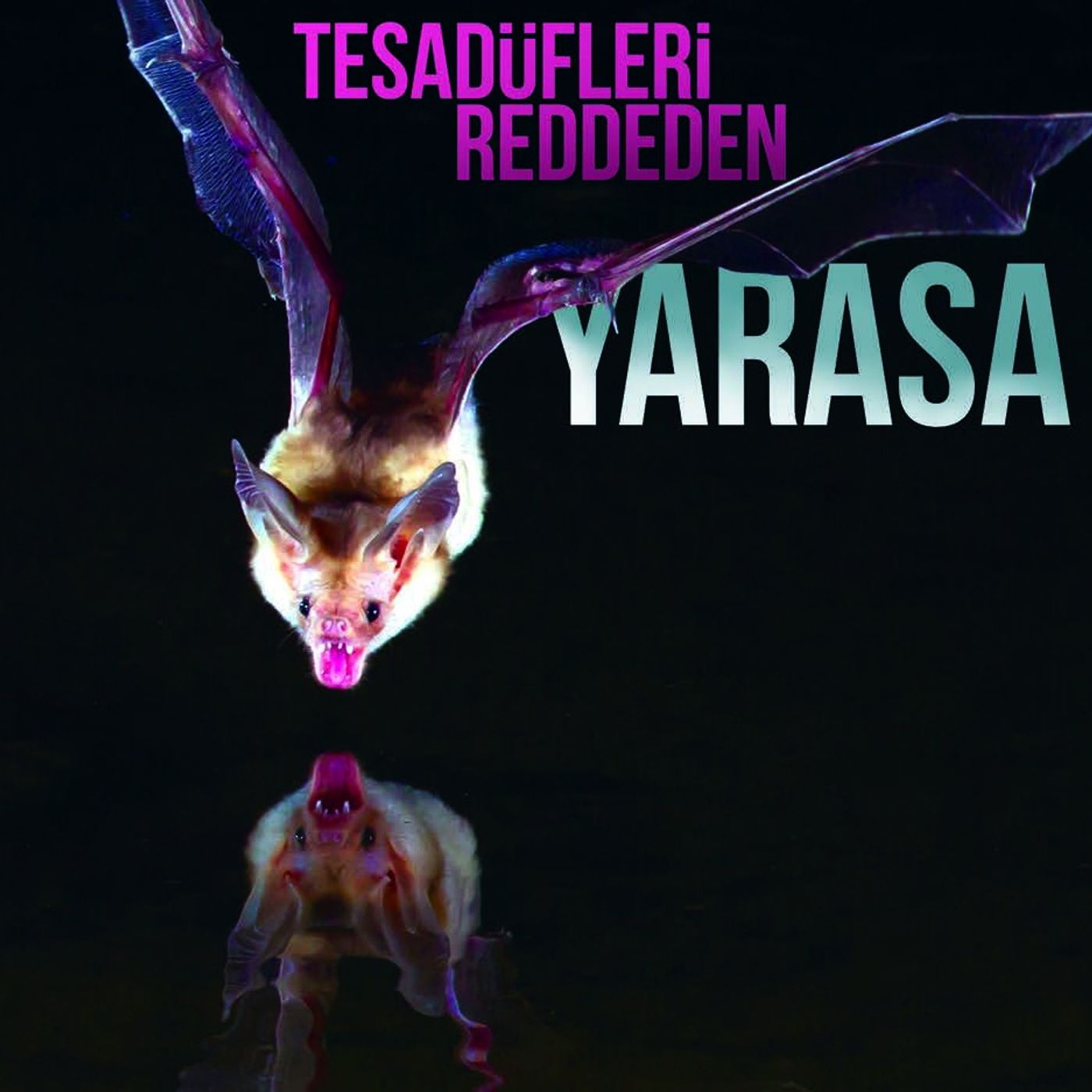 Tesadüfleri Reddeden Yarasa episode artwork