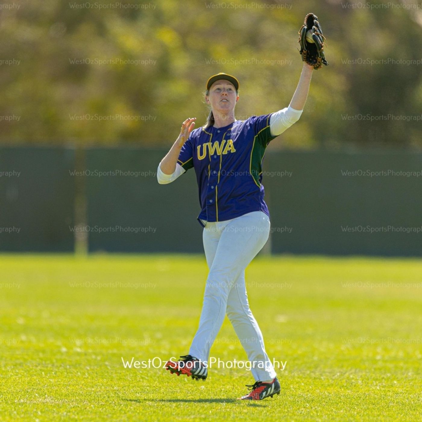 Ladywhips Baseball