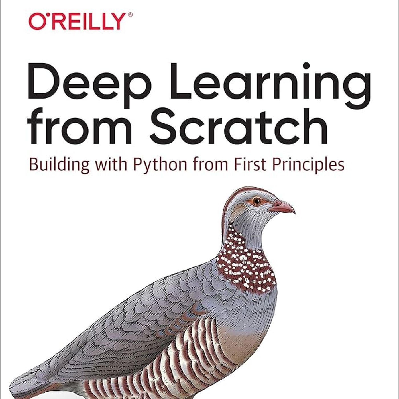 Deep Learning from Scratch: Building with Python from First Principles