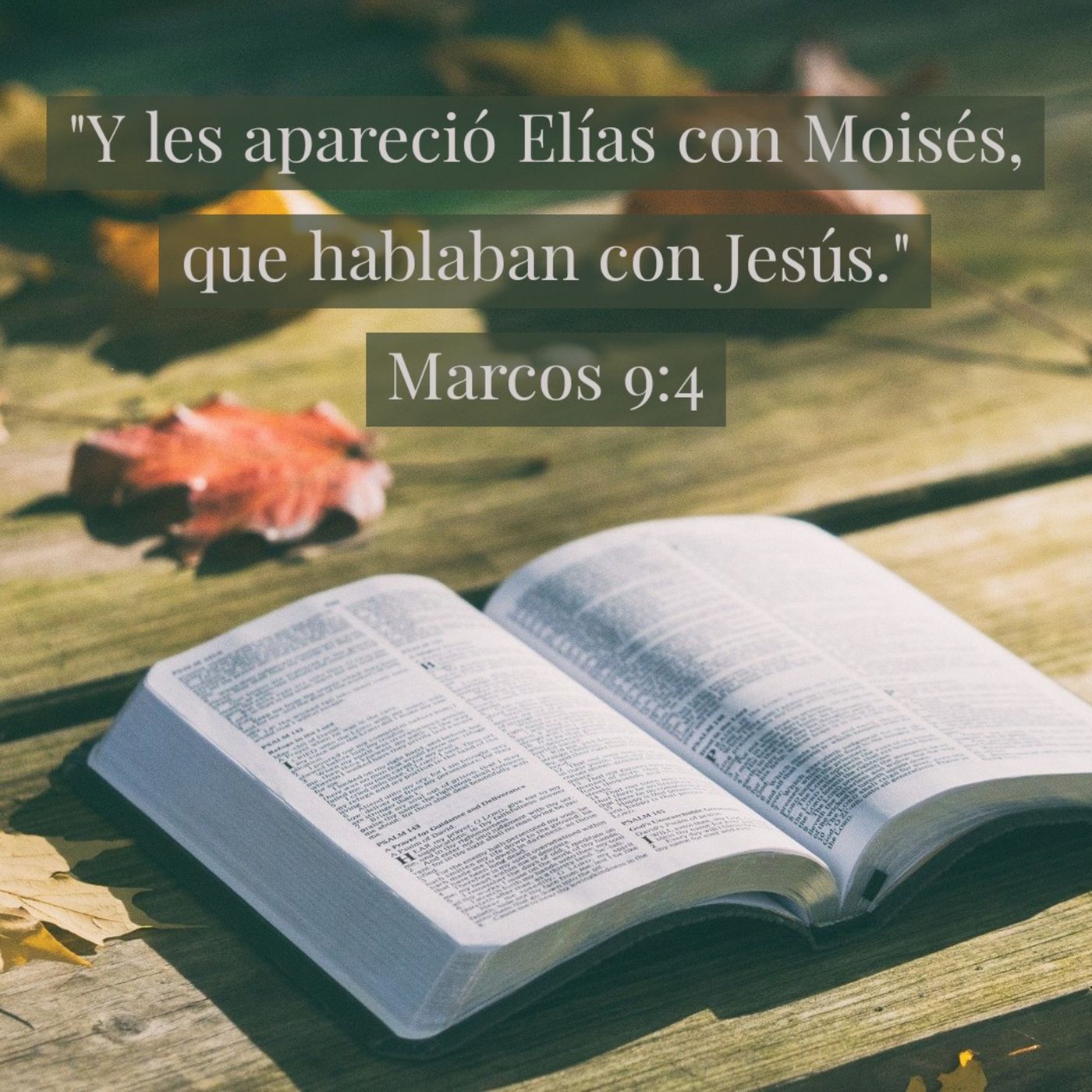 Ministerio UMCD - Un Momento Con Dios | Reflexiones Cristianas