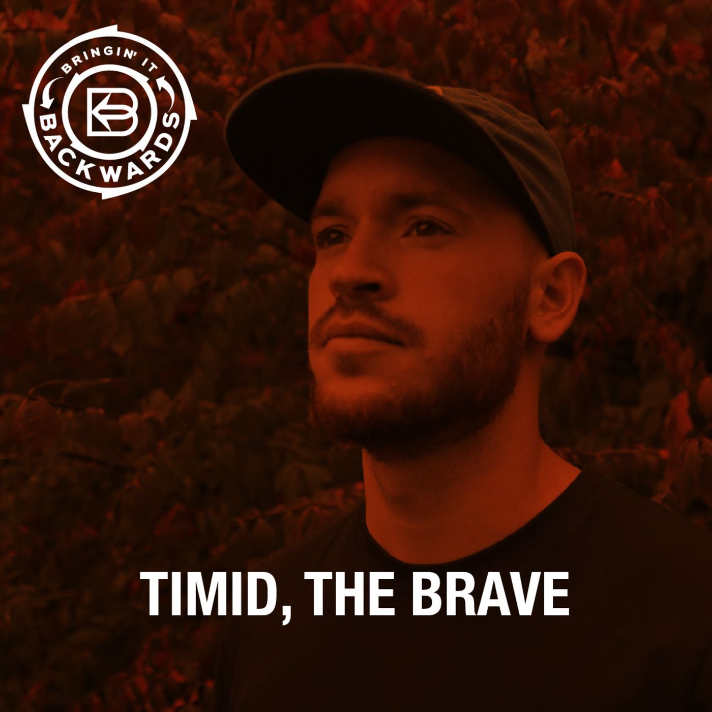 Interview with Timid, the Brave