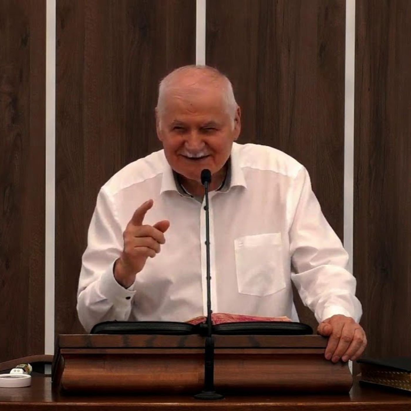 Mărturii - Vasile Hozan