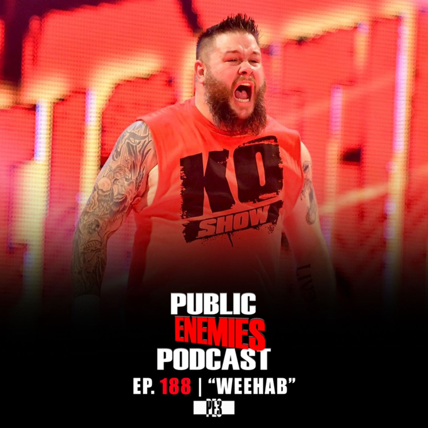 Public Enemies Podcast