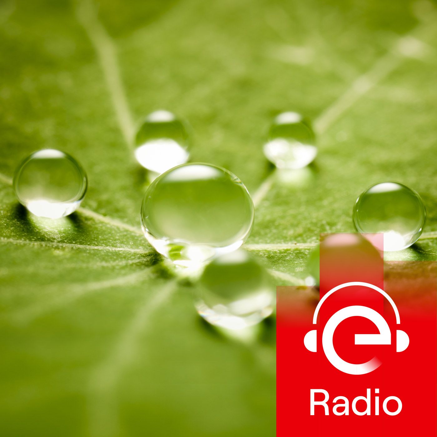 Enel Radio Podcast