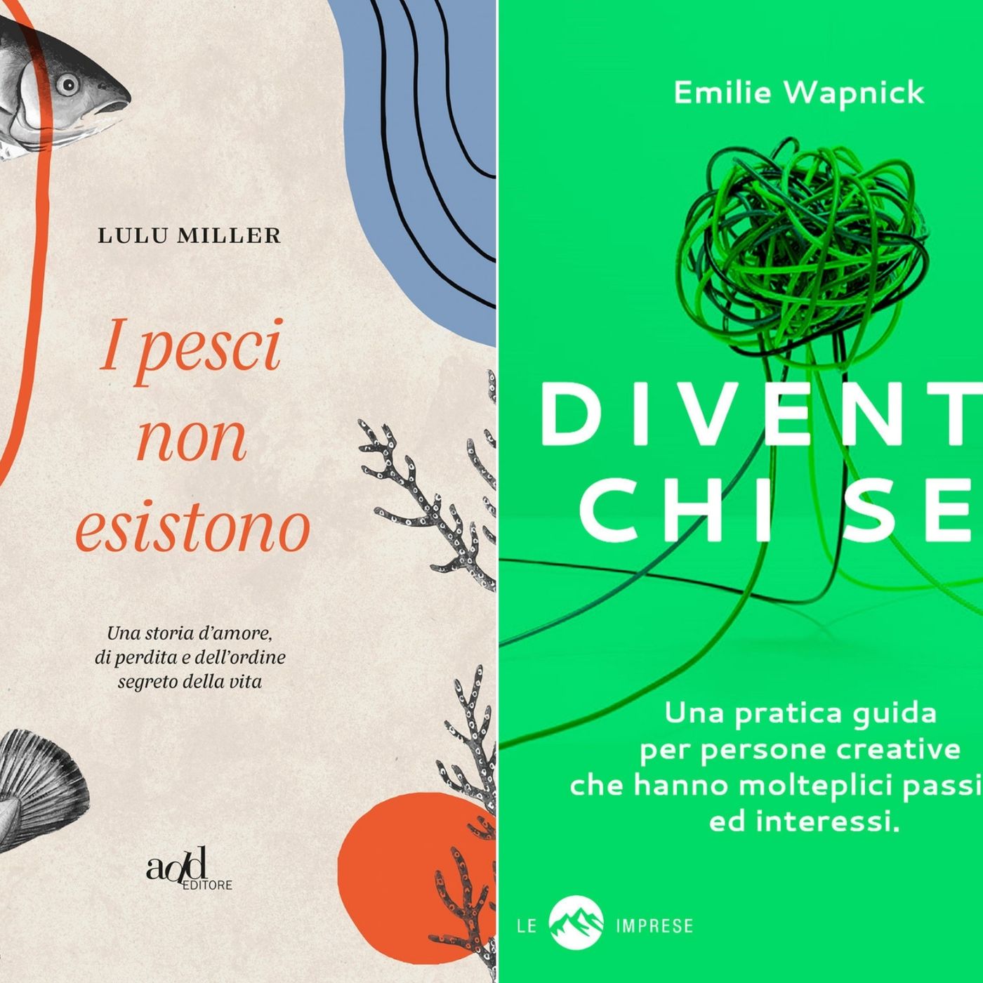Archivio: Bookblister
