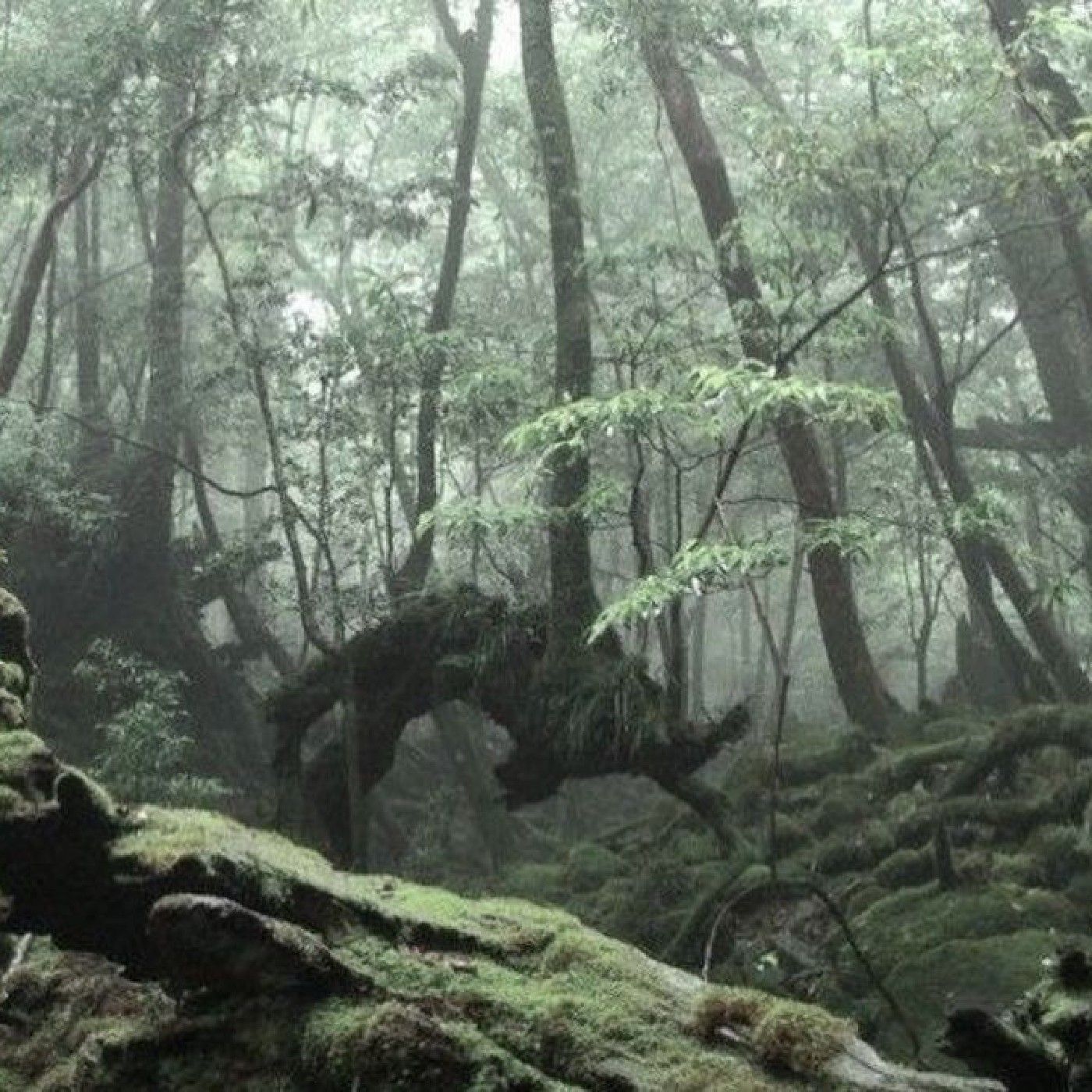 Mejorando el desempeño ambiental podcast artwork