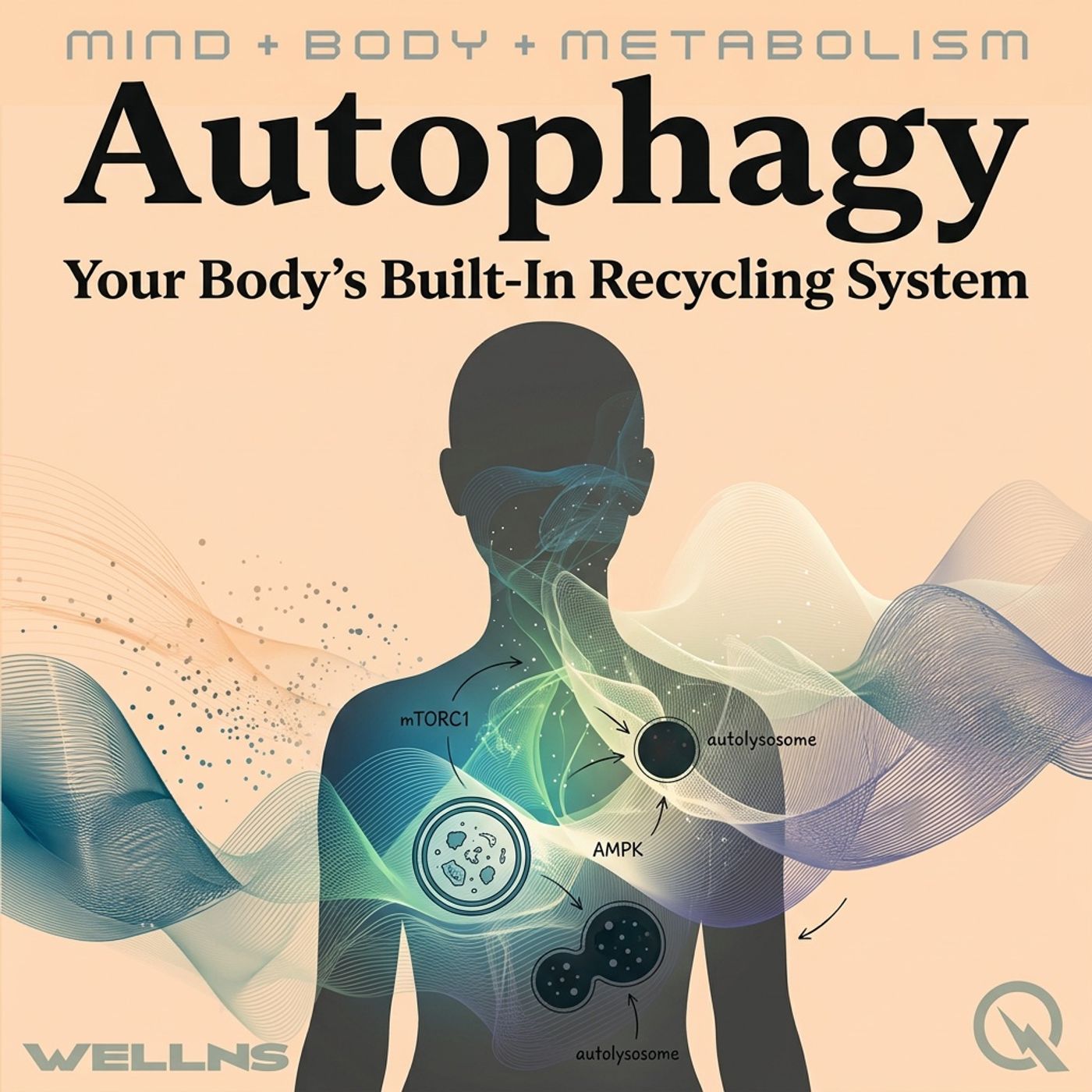 Autophagy