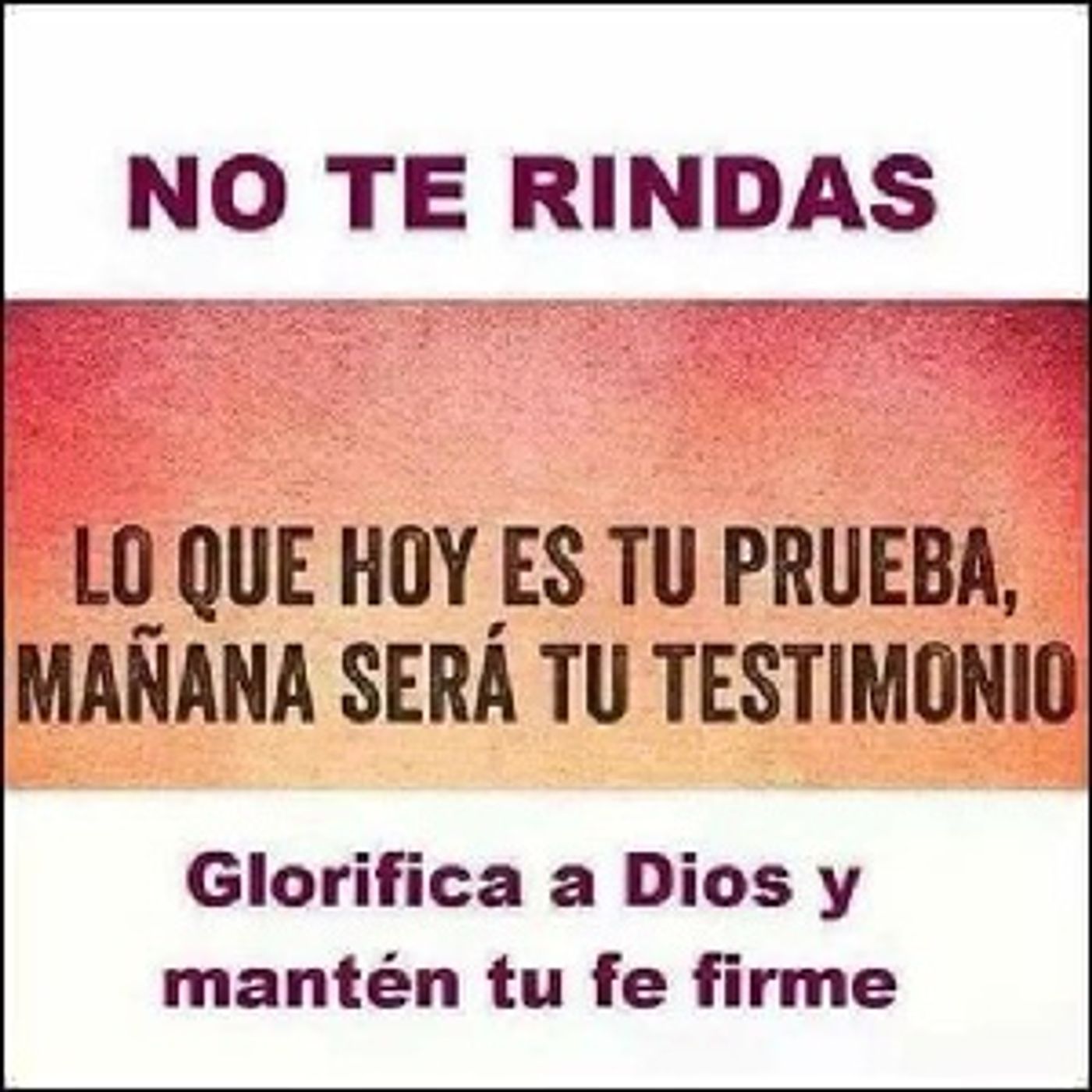 JC Pivara Trejo