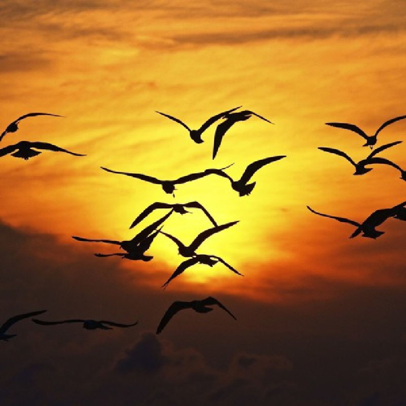 SevensDays MusicElSalvador -RadioDigital