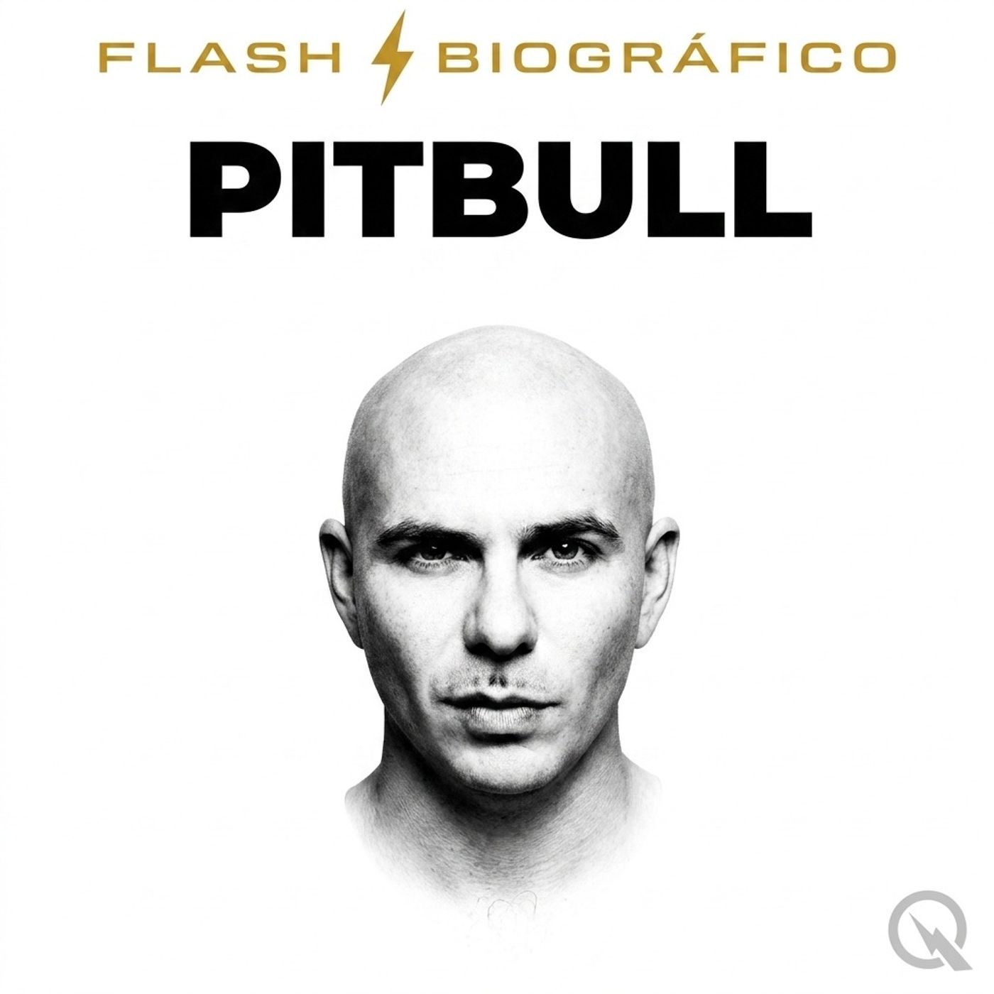Pitbull - Flash Biográfico