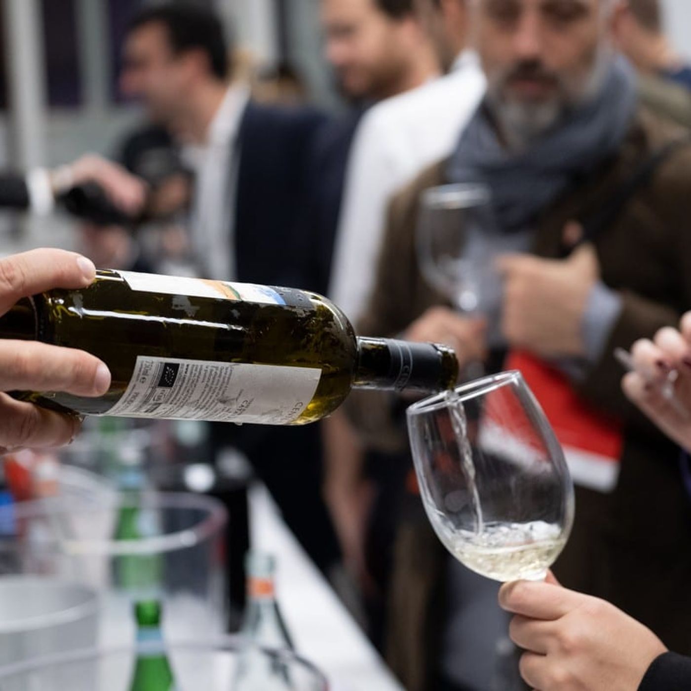 Gambero Rosso premia i Vini d'Italia, poco al Sud..."Va a gettoni?" episode artwork