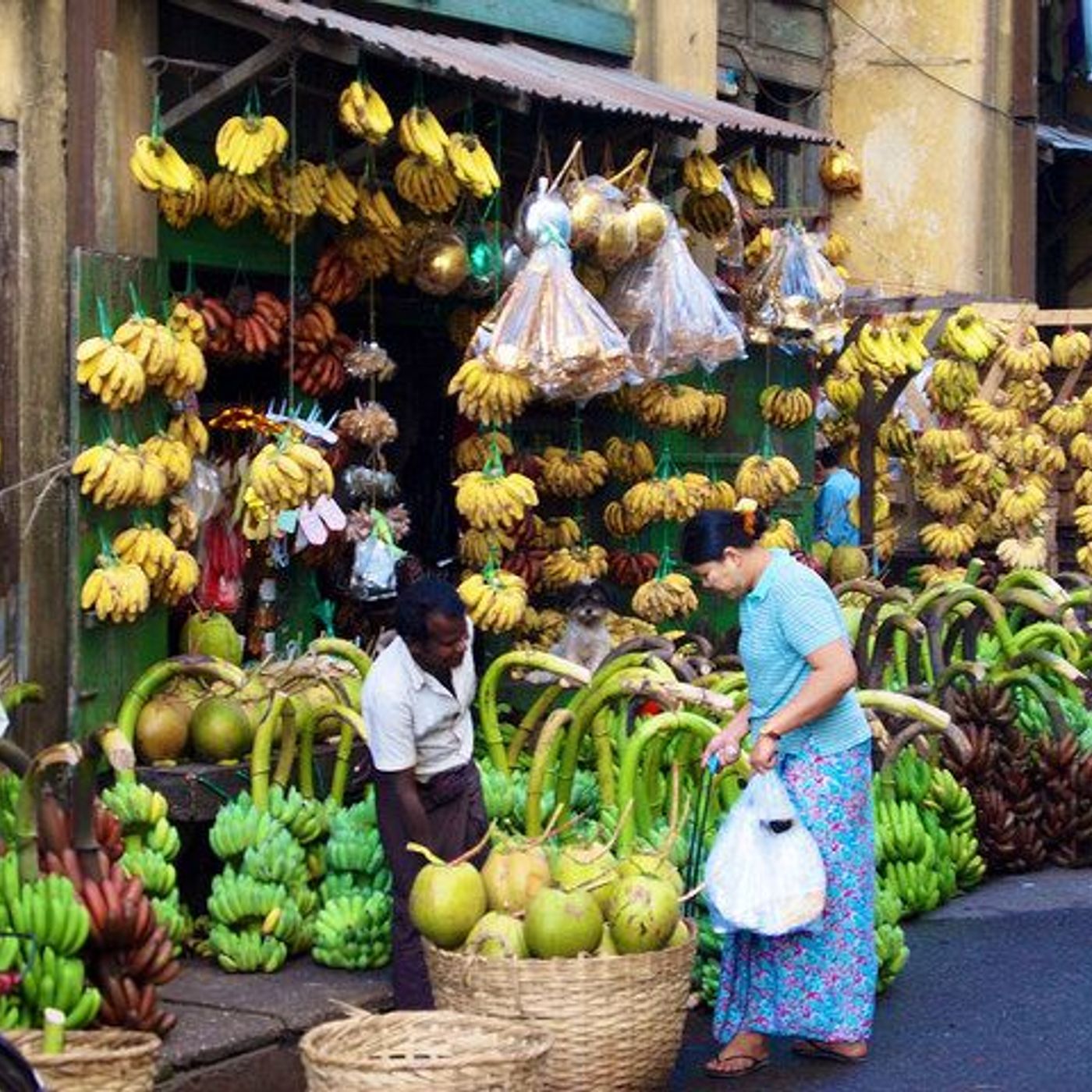 Bananas - The Worlds Favorite Fruit