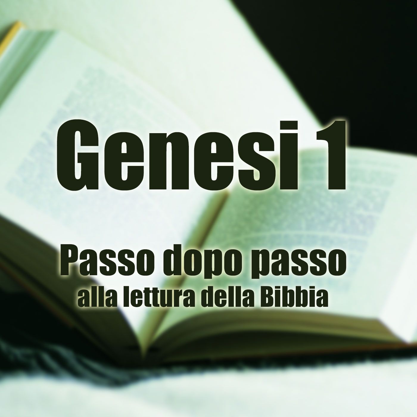 Passo dopo passo alla lettura della Bibbia