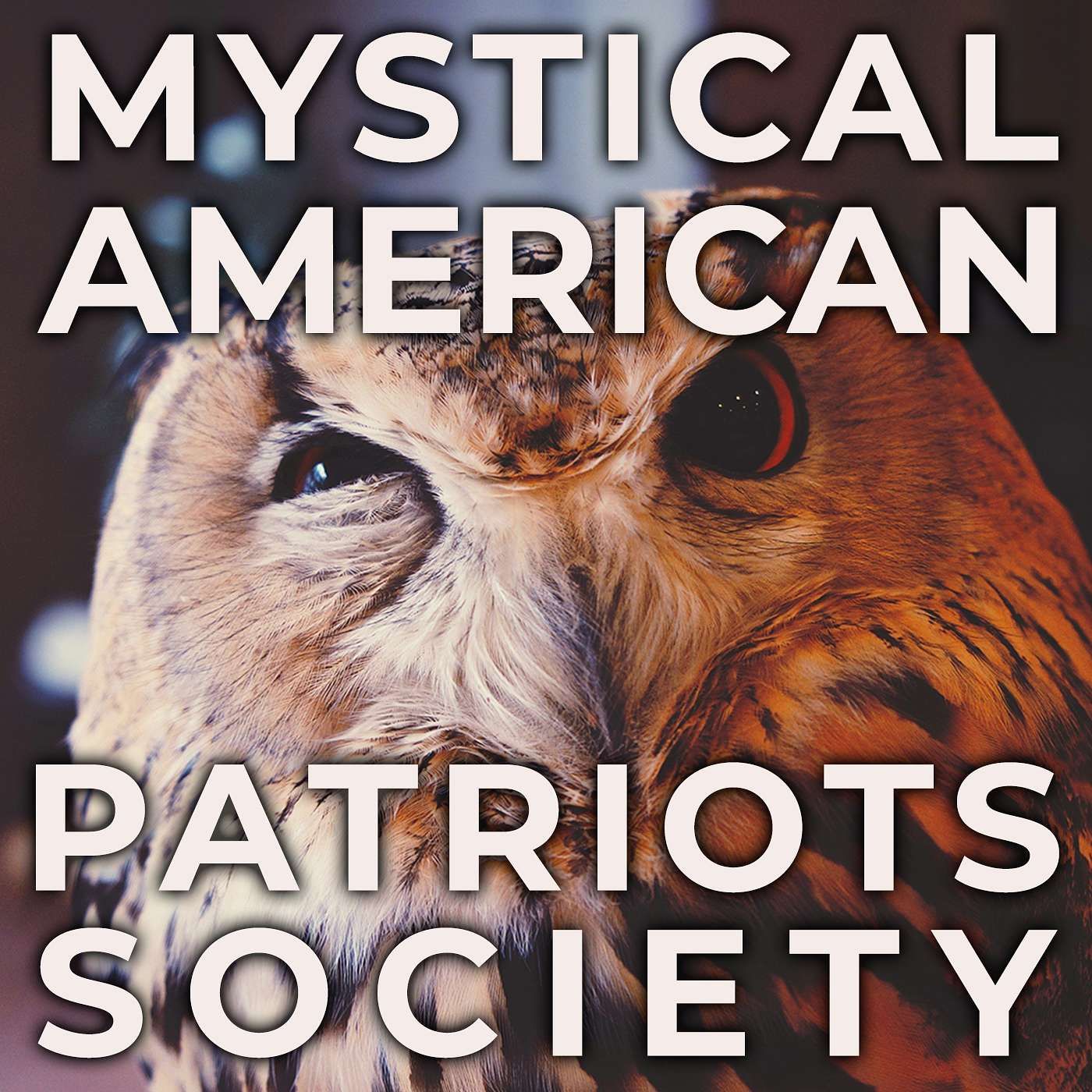 S3E056: The Owl and UFO Connection with Special Guest Mike Clelland episode artwork