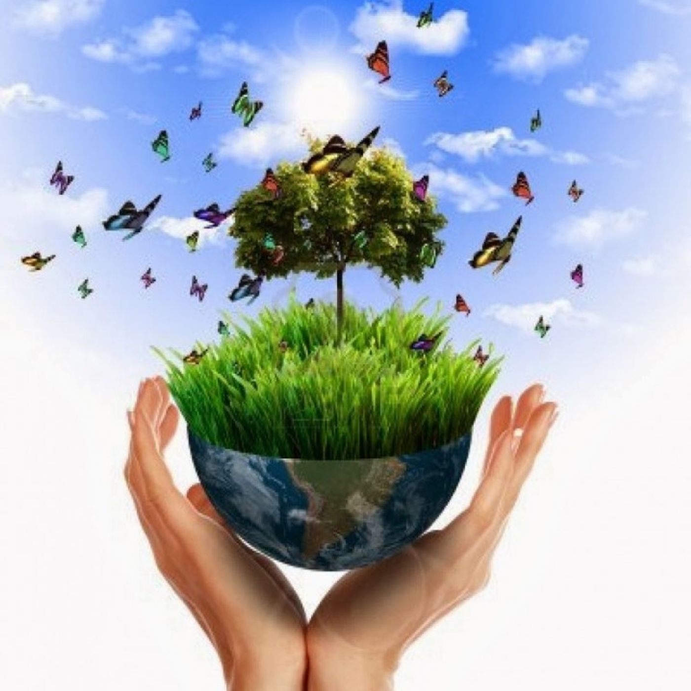 Normatividad Ambiental