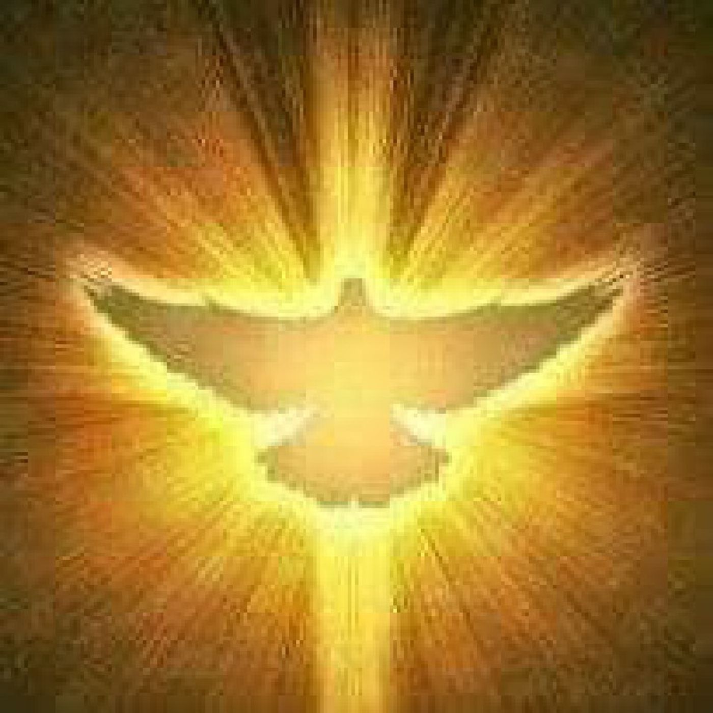 KingdomCommunity BibleStudy