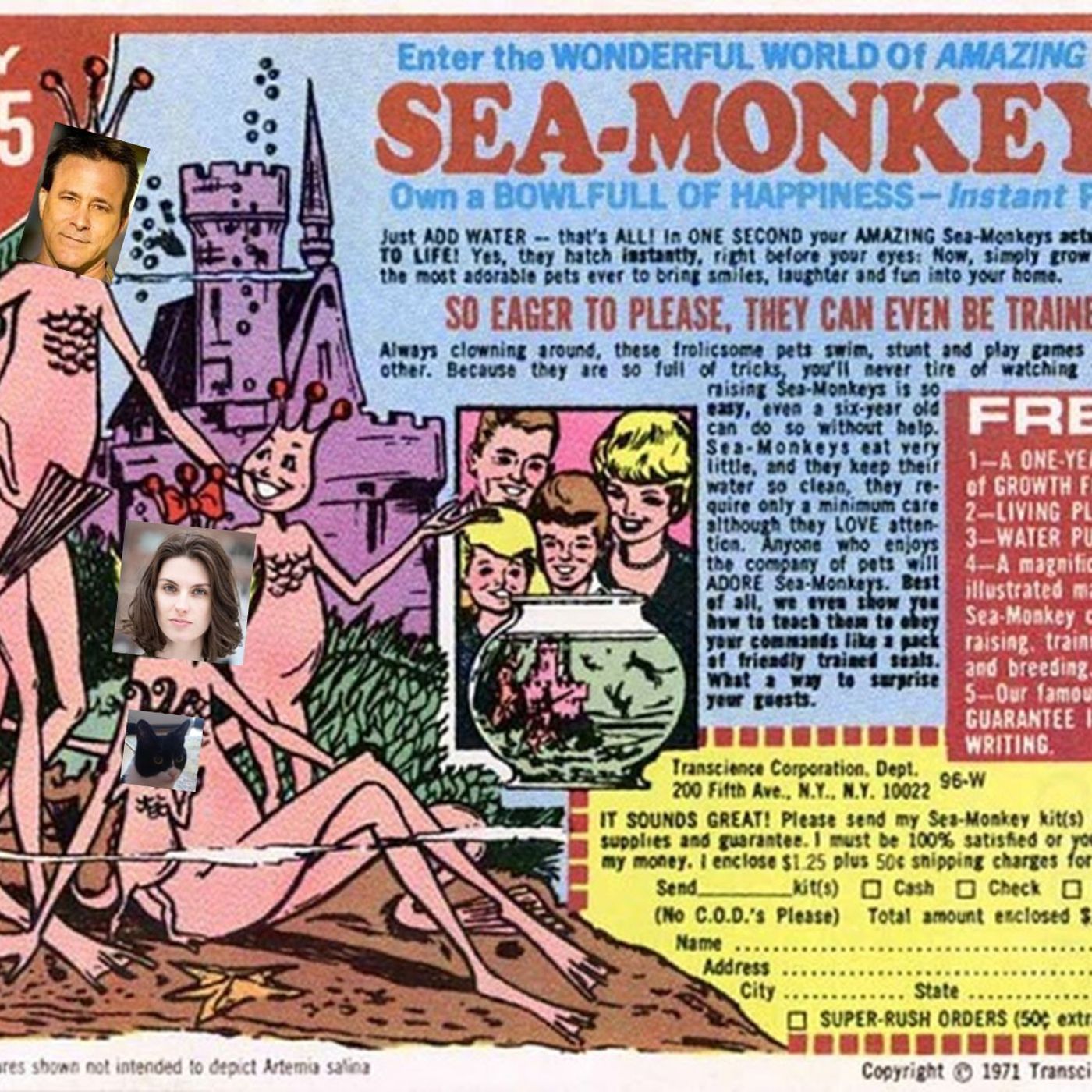 Timmyboy Comedy Podcast