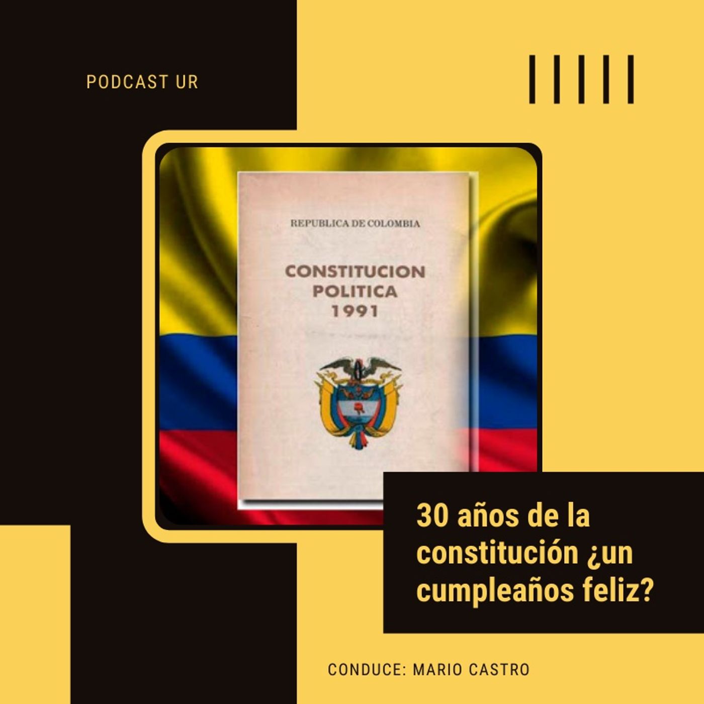 Evento: 30 años de la constitución ¿un cumpleaños feliz? episode artwork