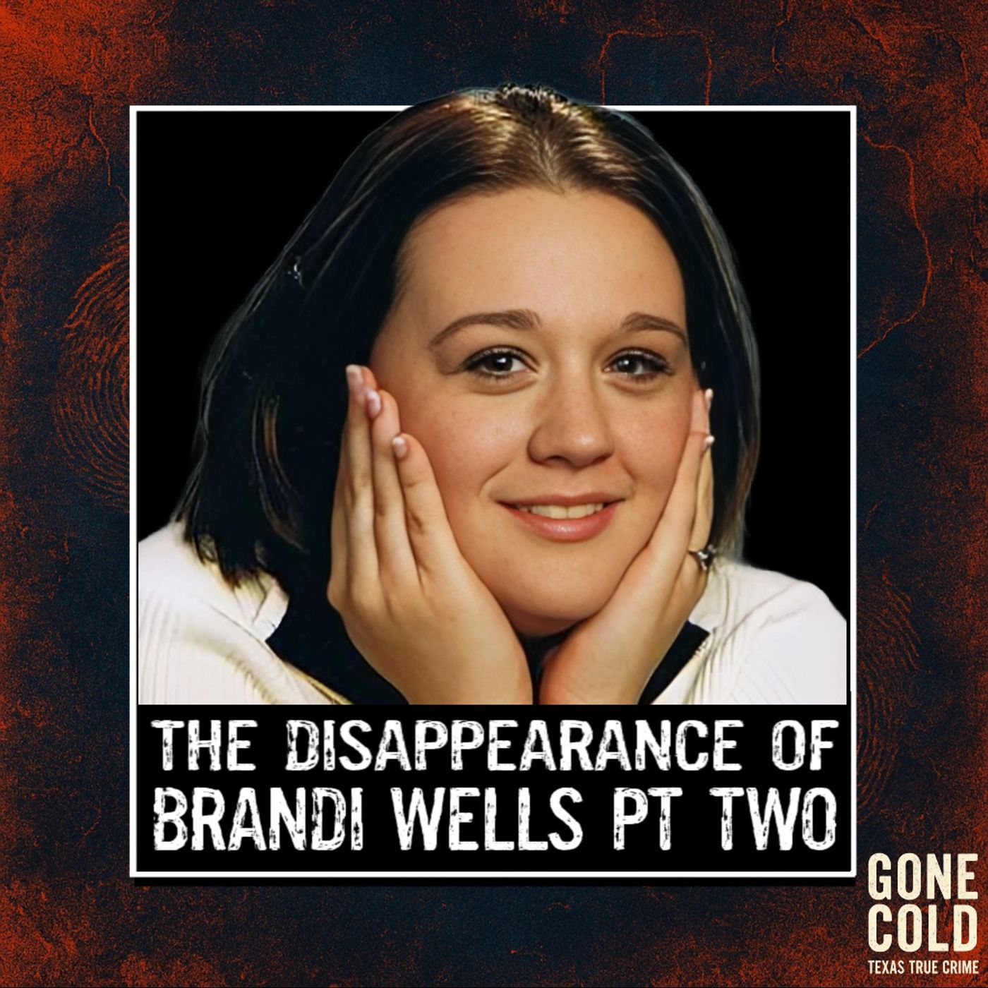 The Disappearance of Brandi Wells Part Two episode artwork