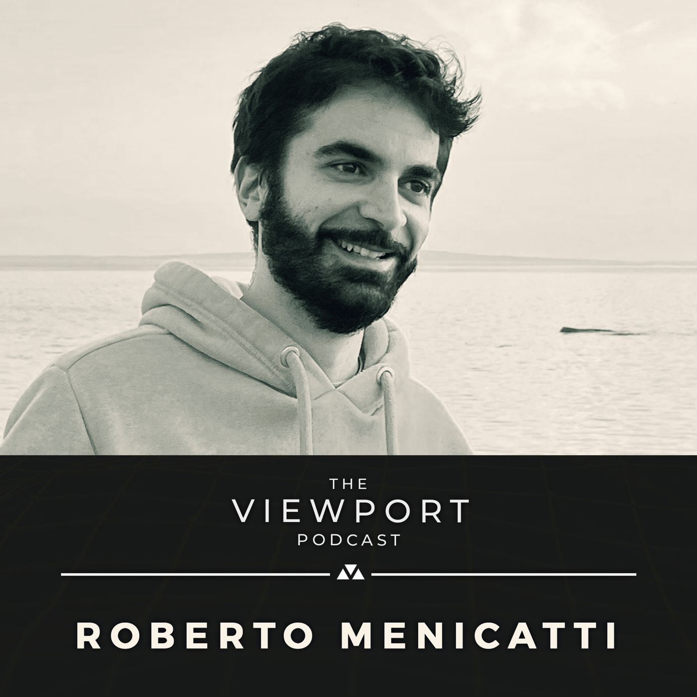 The Viewport Podcast