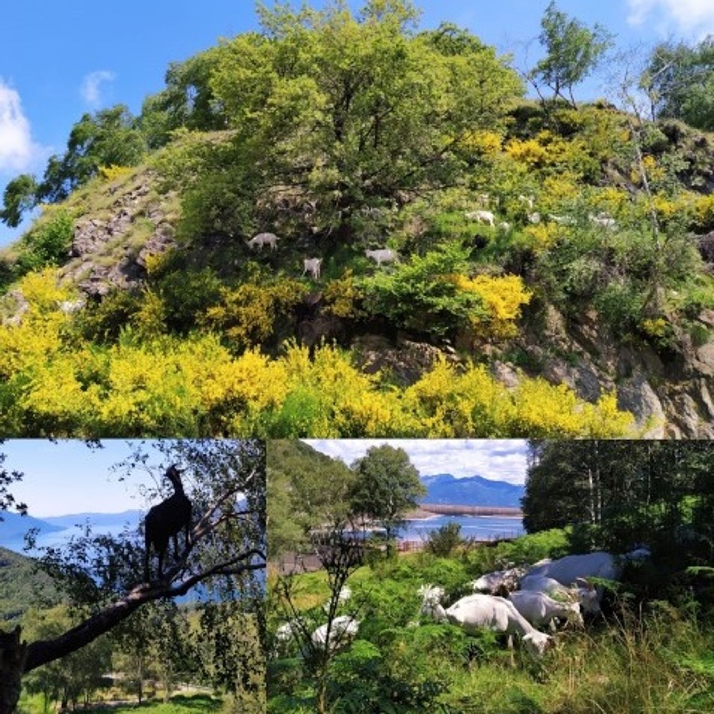 VIAGGIO NEL TEMPO CON L\'AGRICOLTURA