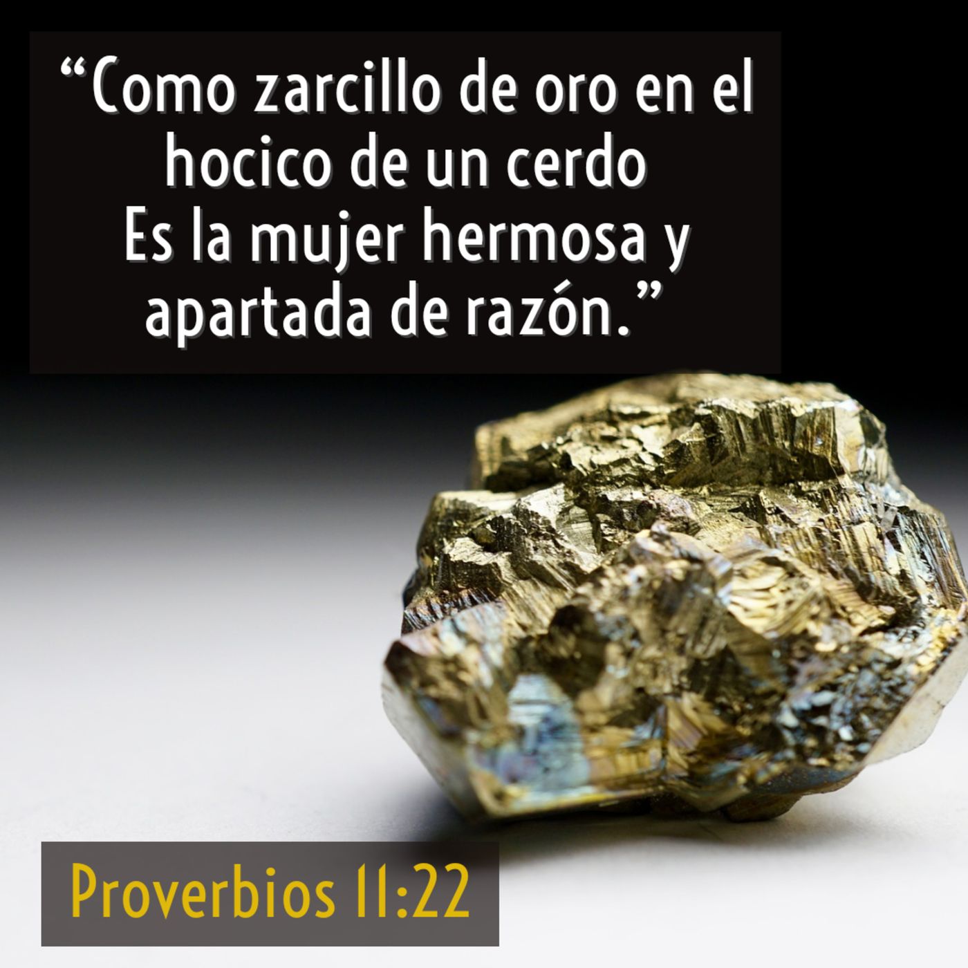 Joyas de Sabiduría (Libro de Proverbios)
