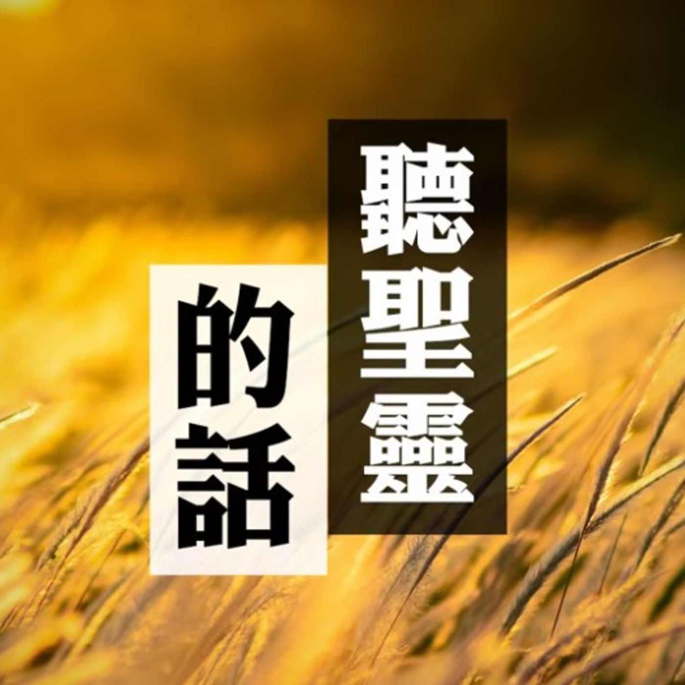 聽聖靈的話 | Jim Cheung episode artwork