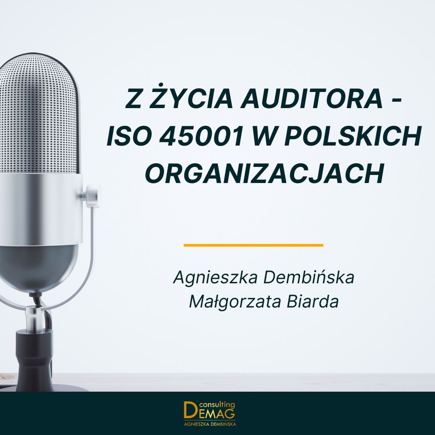 Demag - doradztwo techniczne