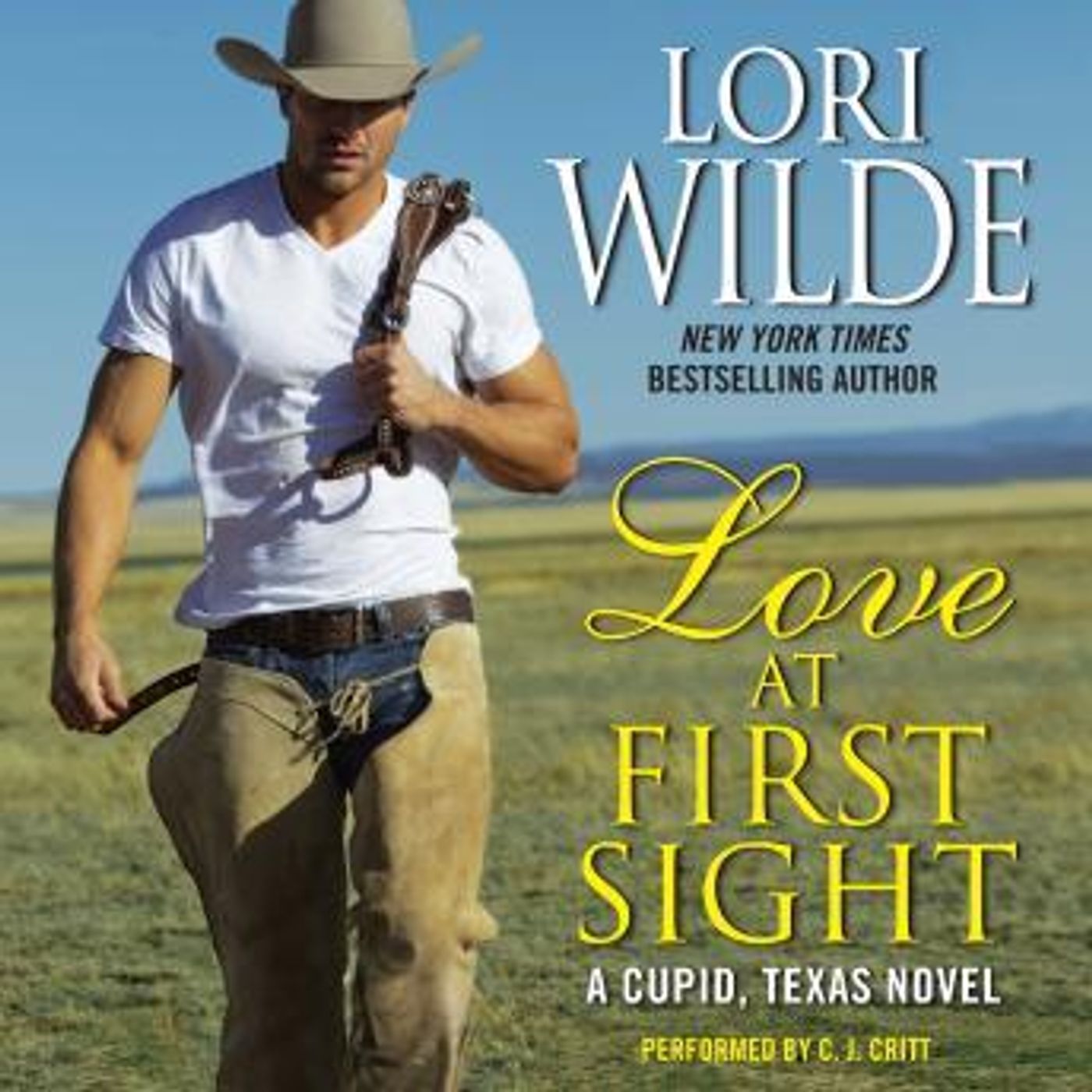 Download Latest Full Audiobooks in Fiction, Westerns & War