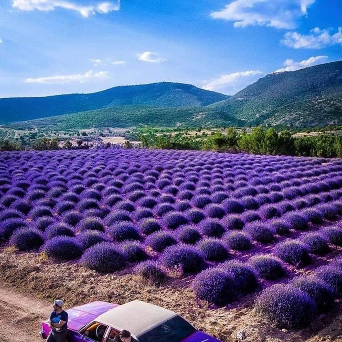Círculo
