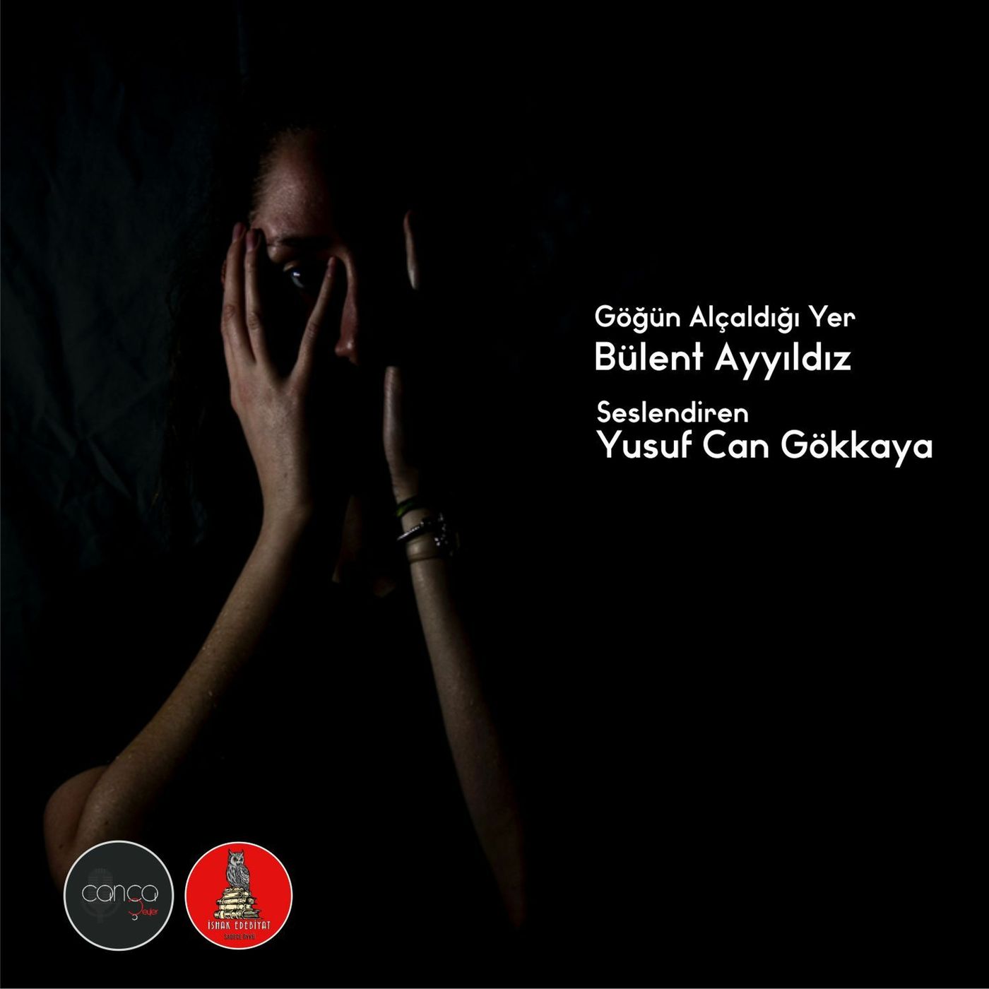 Öykü | Bülent Ayyıldız - Göğün Alçaldığı Yer episode artwork