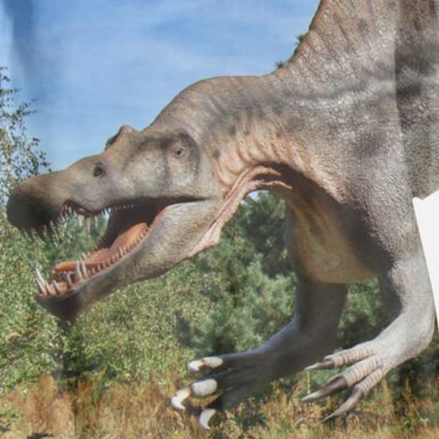 10 cuentos de dinosaurios y hormigas culonas