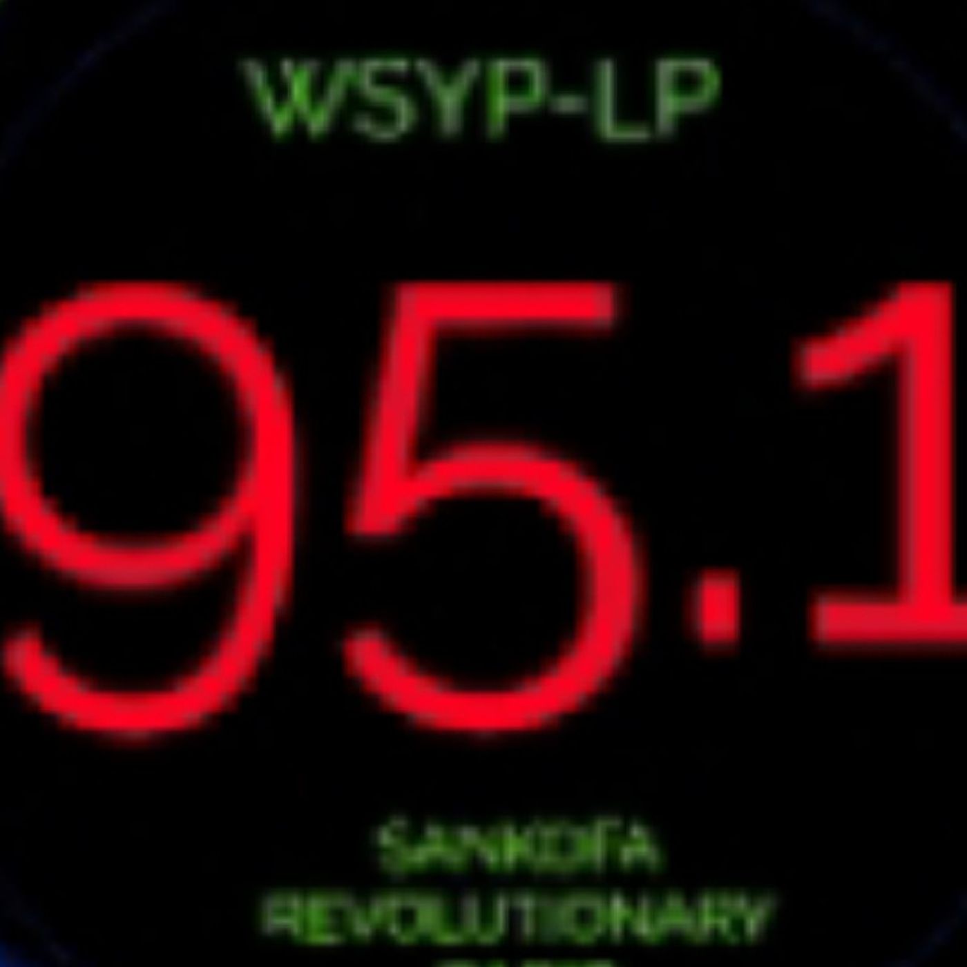 21st Century Black Panthers Rcdhpn
