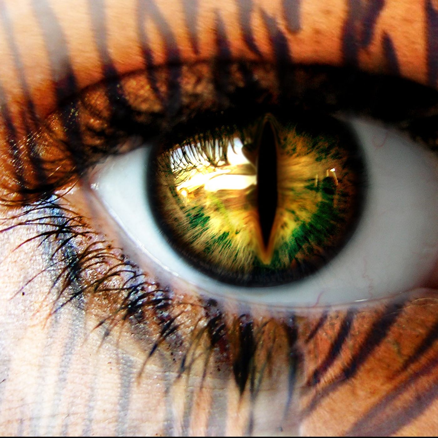 The Tiger Vidmar Show