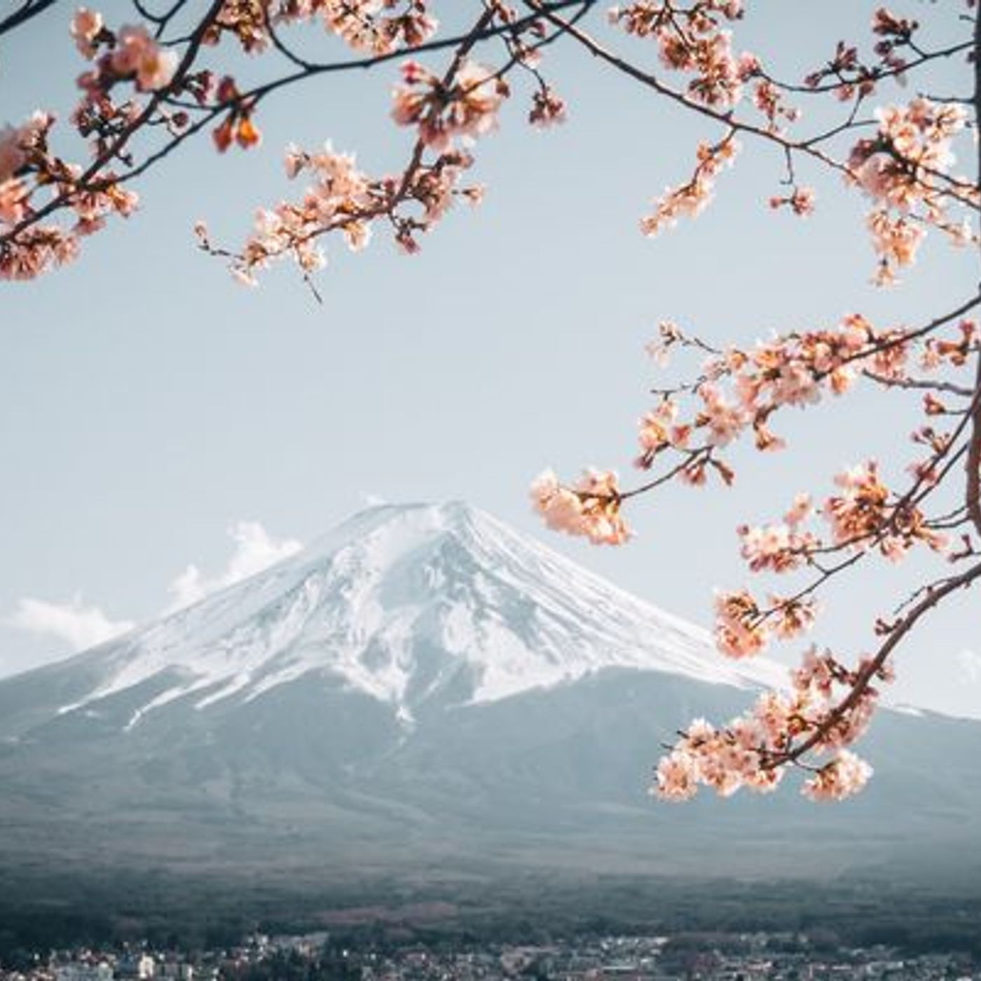 La première coupe du monde de ramassage de déchets aura lieu au Japon, en novembre episode artwork