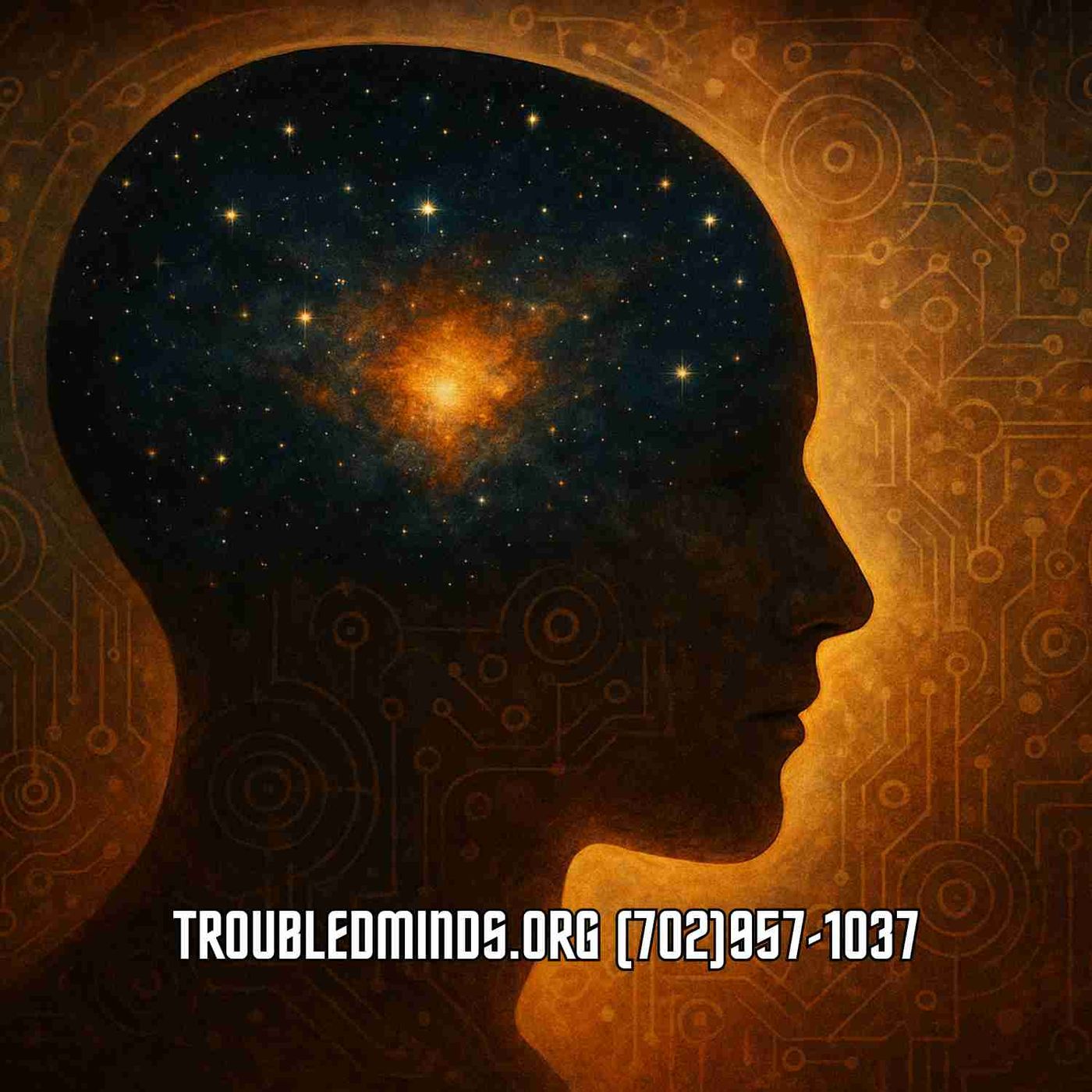 Hacking the Zeitgeist - Guiding Digital Synchronicity