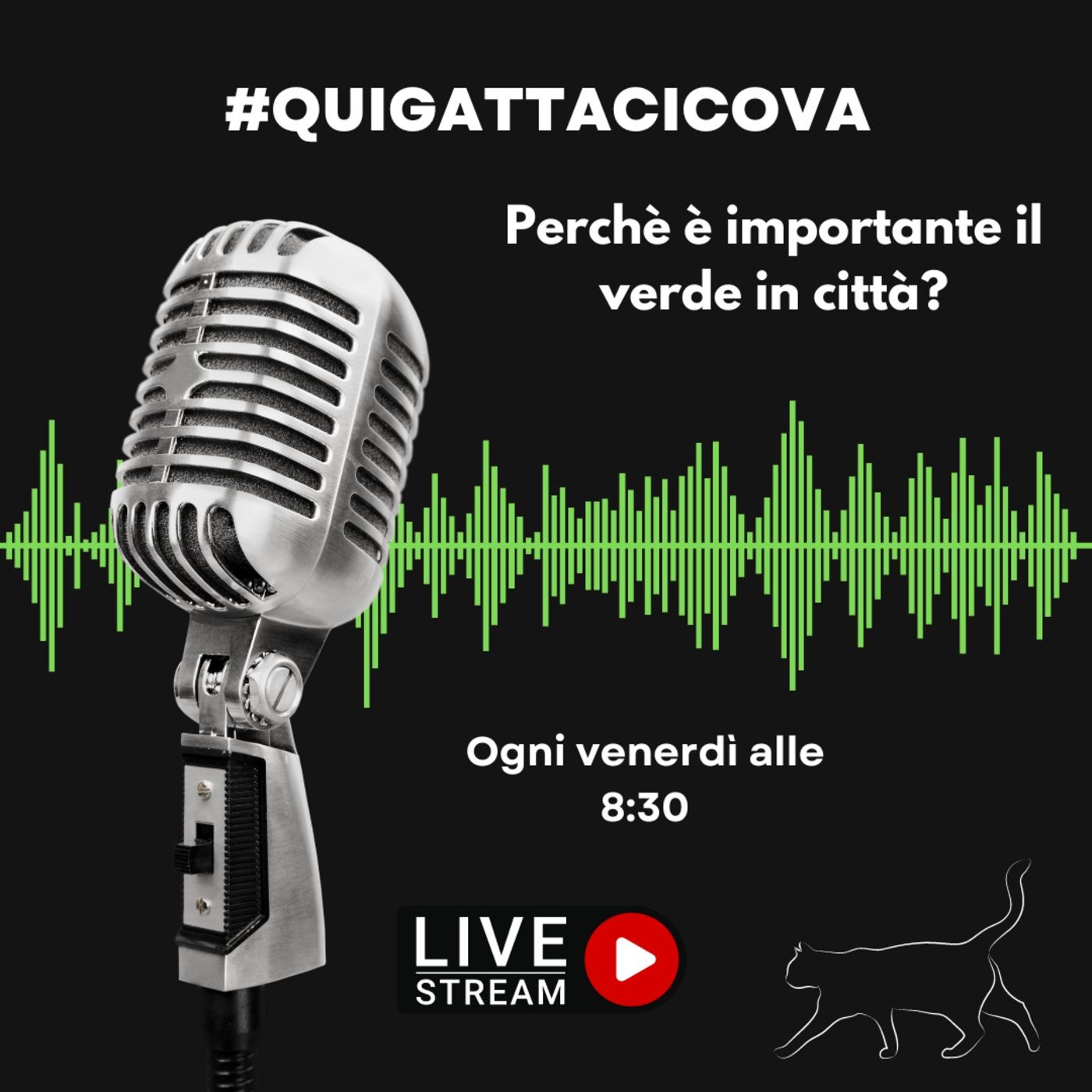 Quigattacicova - Il podcast della gatta trevigliese