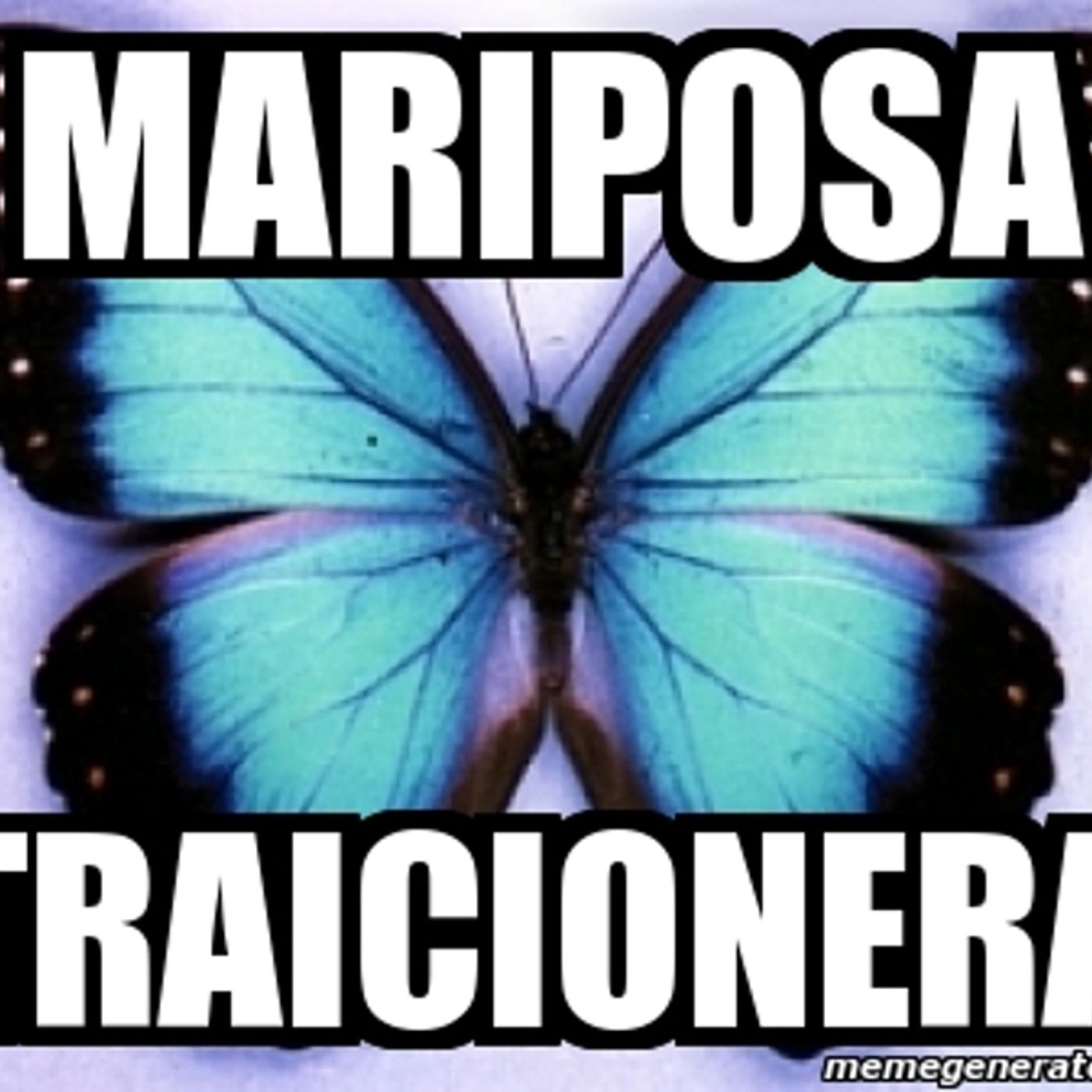 Pistas de Marisa Coscarelli
