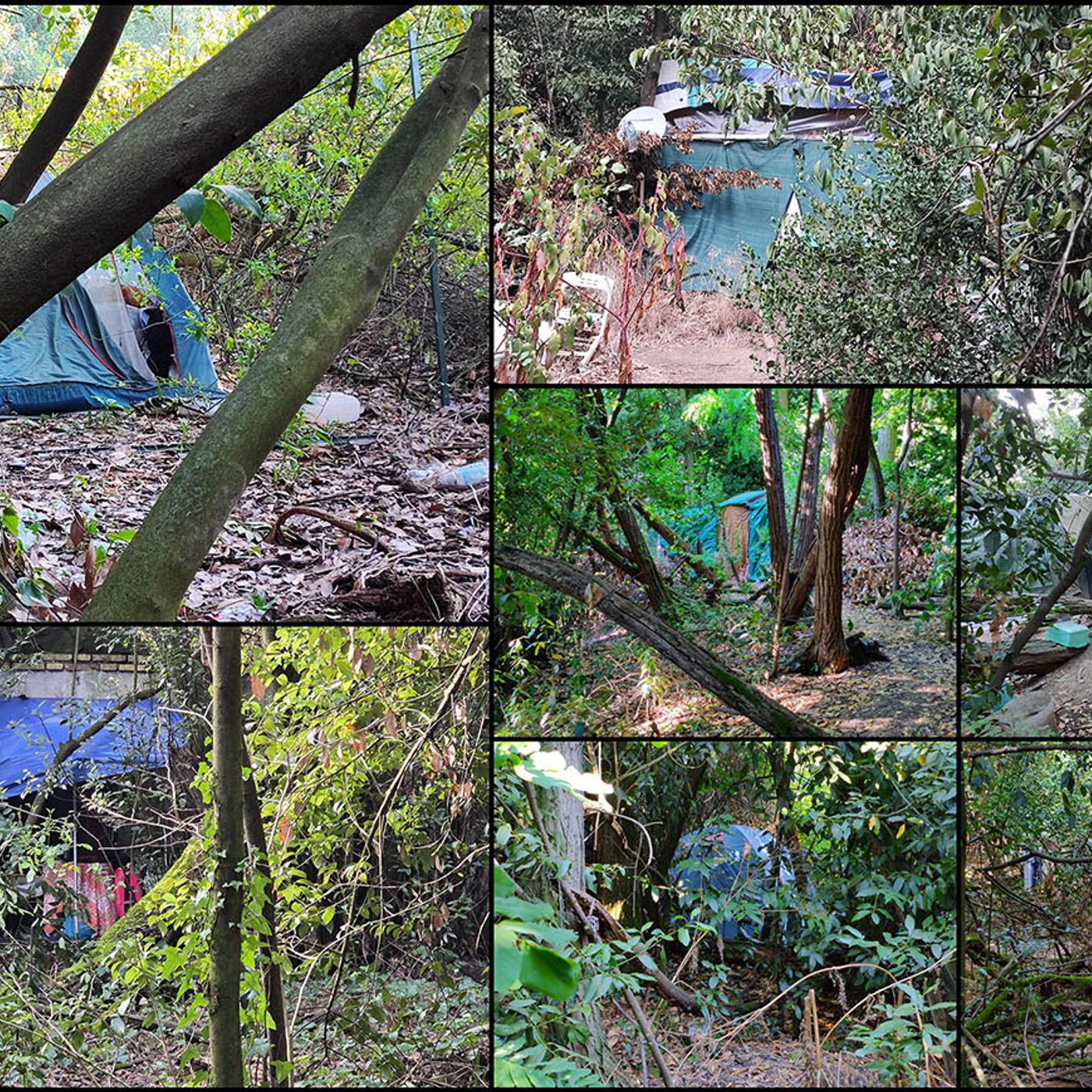 Villa Ada, storia e storie