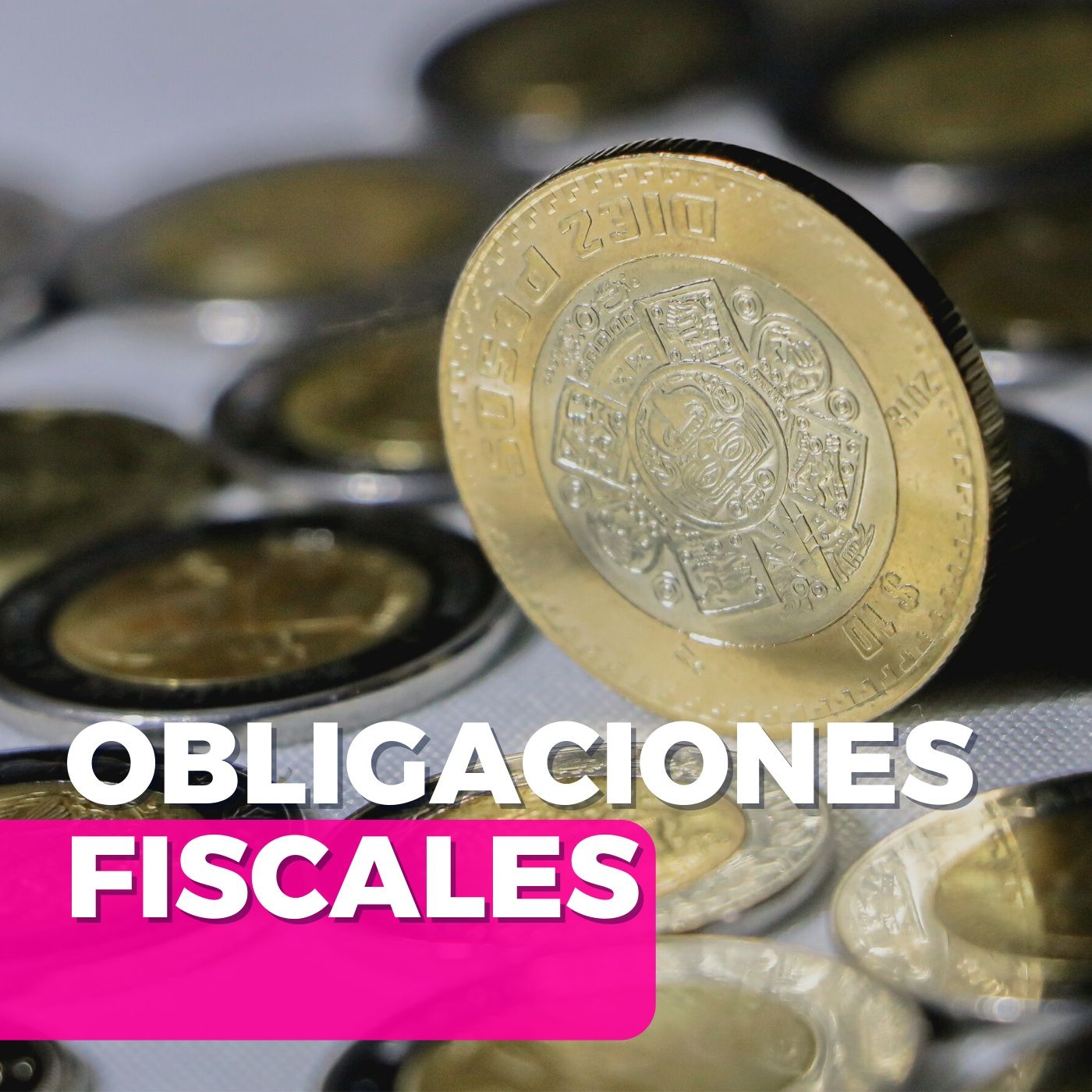 Pláticas del colectivo
