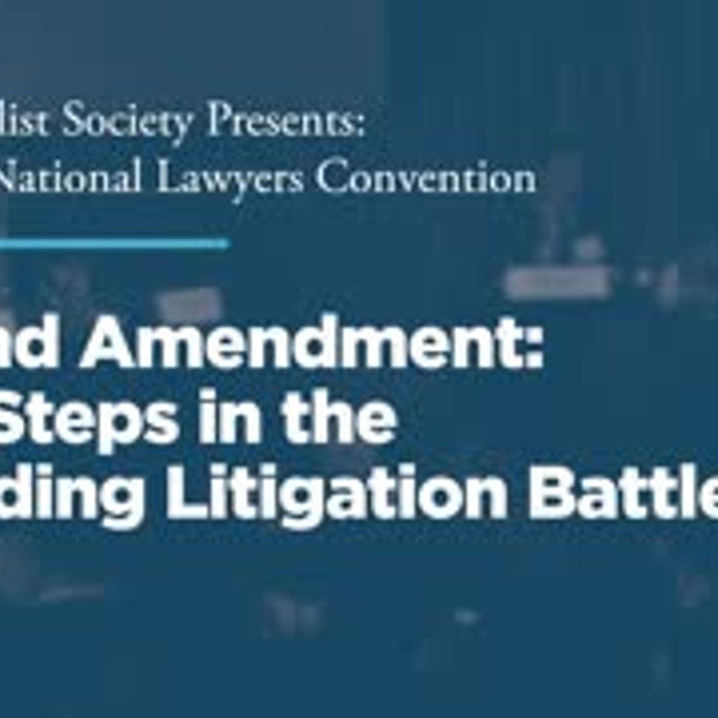 Second Amendment: Next Steps in the Unfolding Litigation Battle