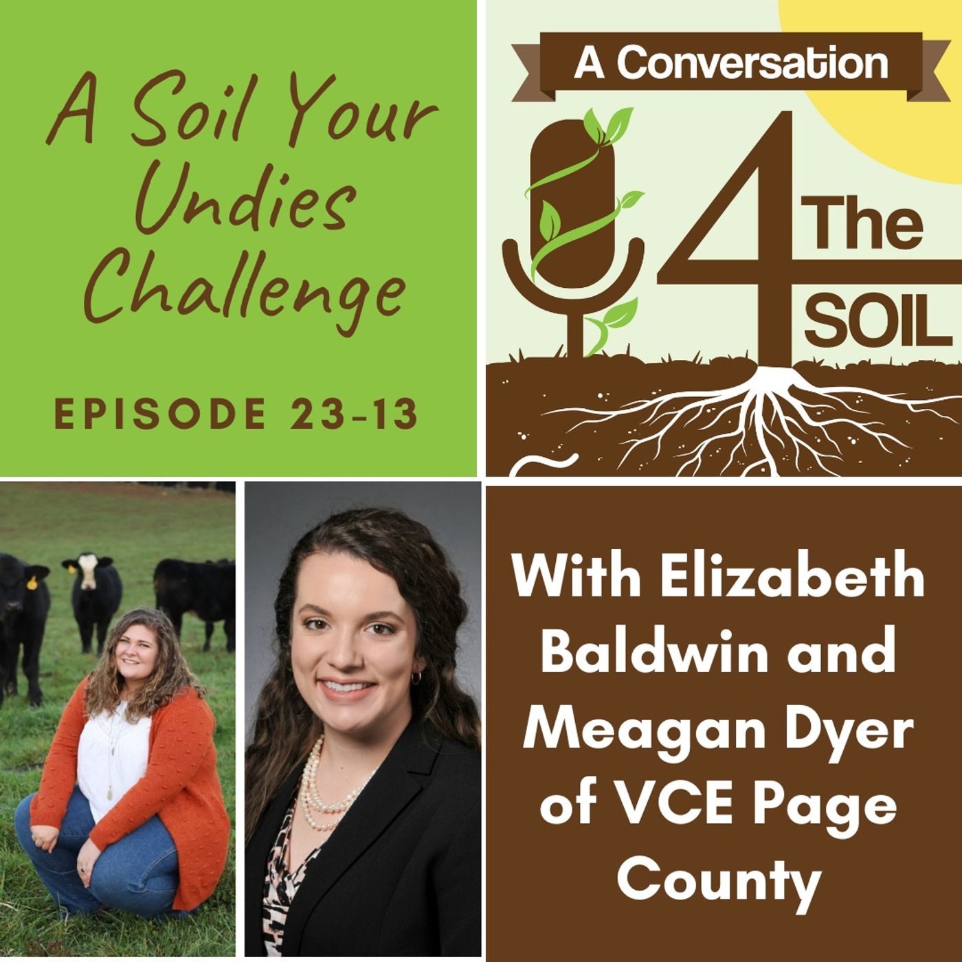 4 The Soil: A Conversation