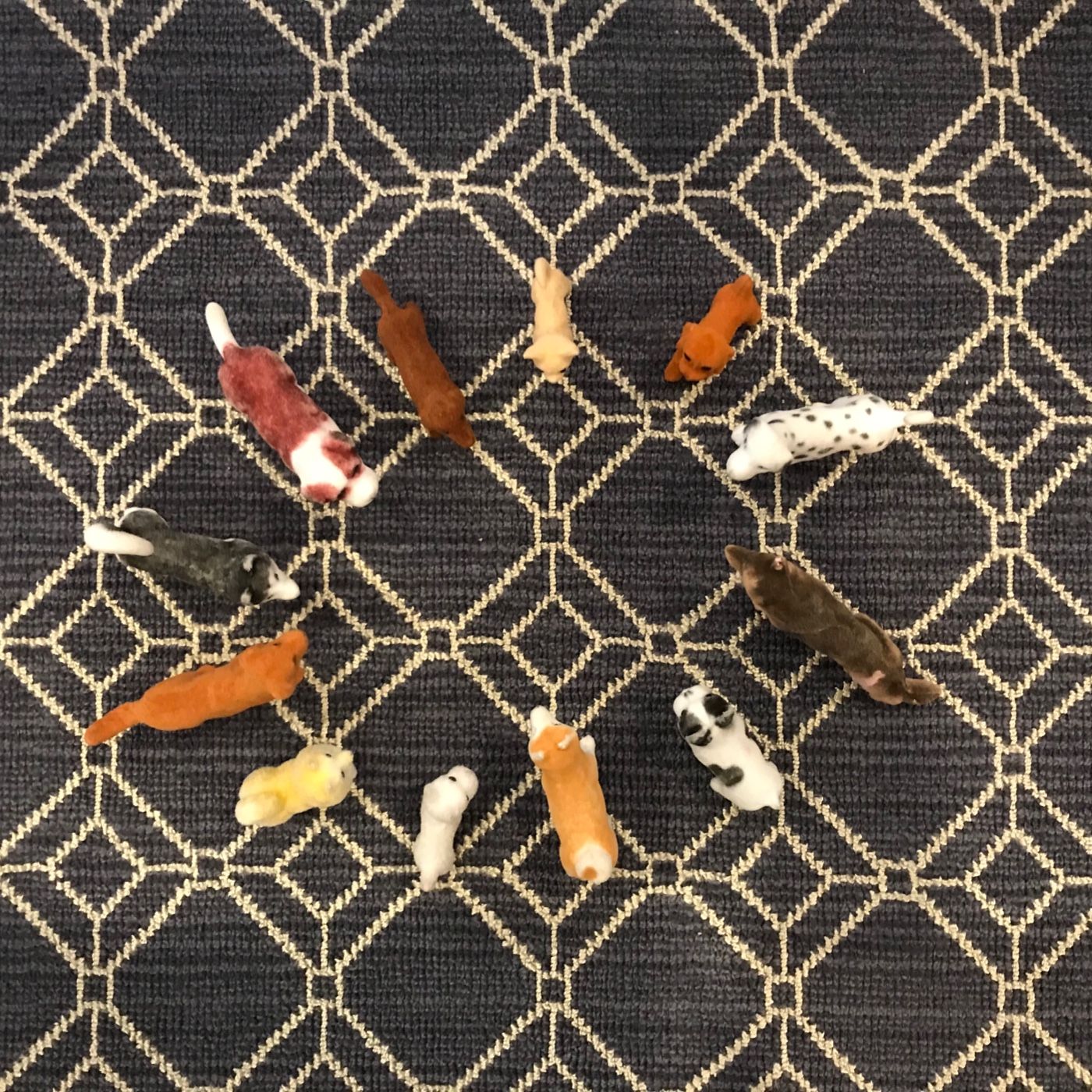 Puppy Play