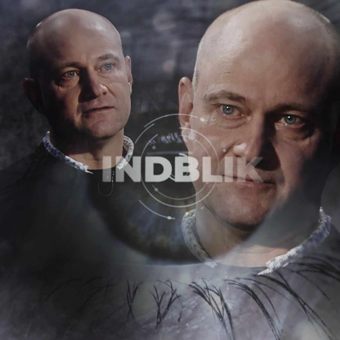 Indblik